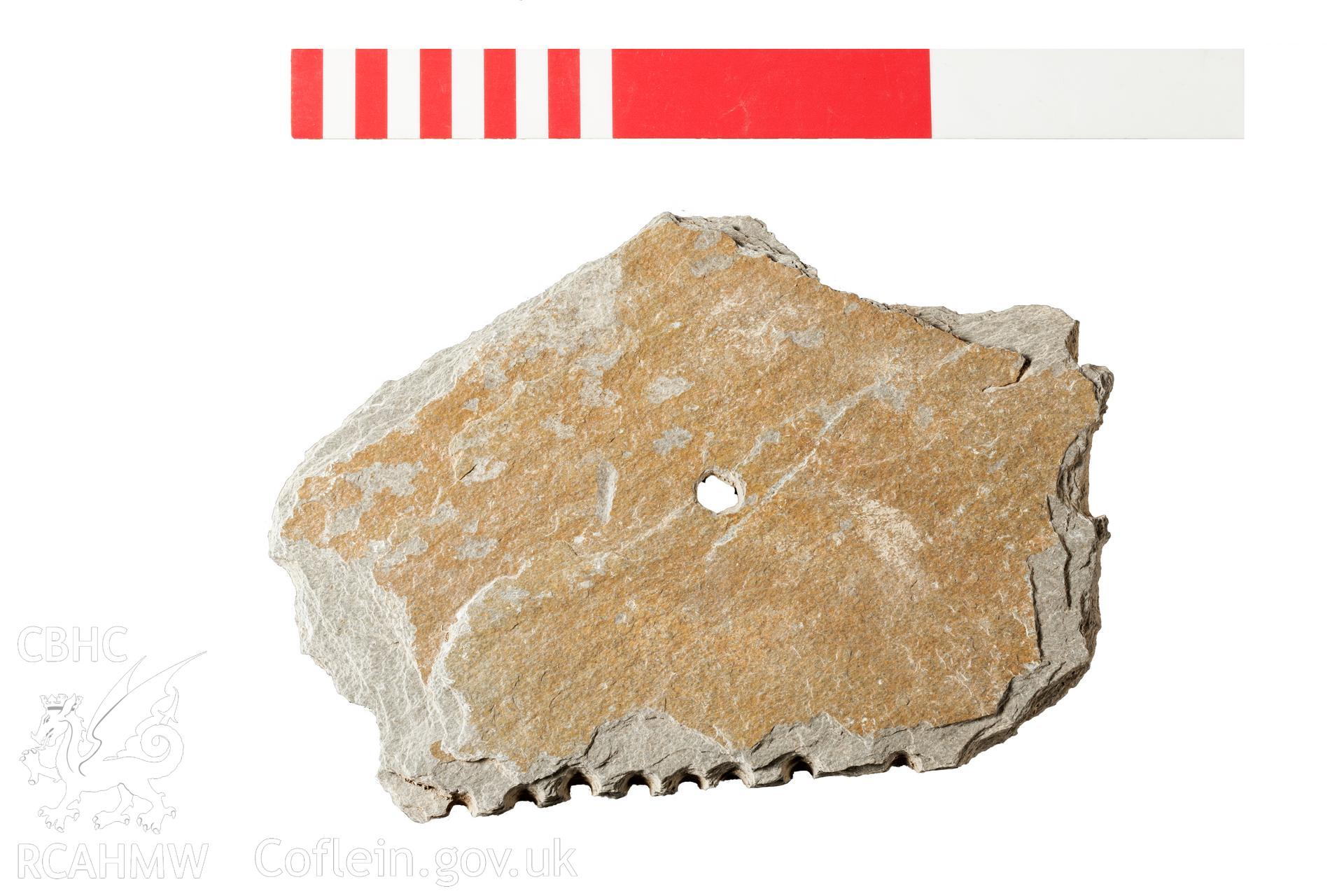 Slate with drilled holes, probably for shaping, with scales