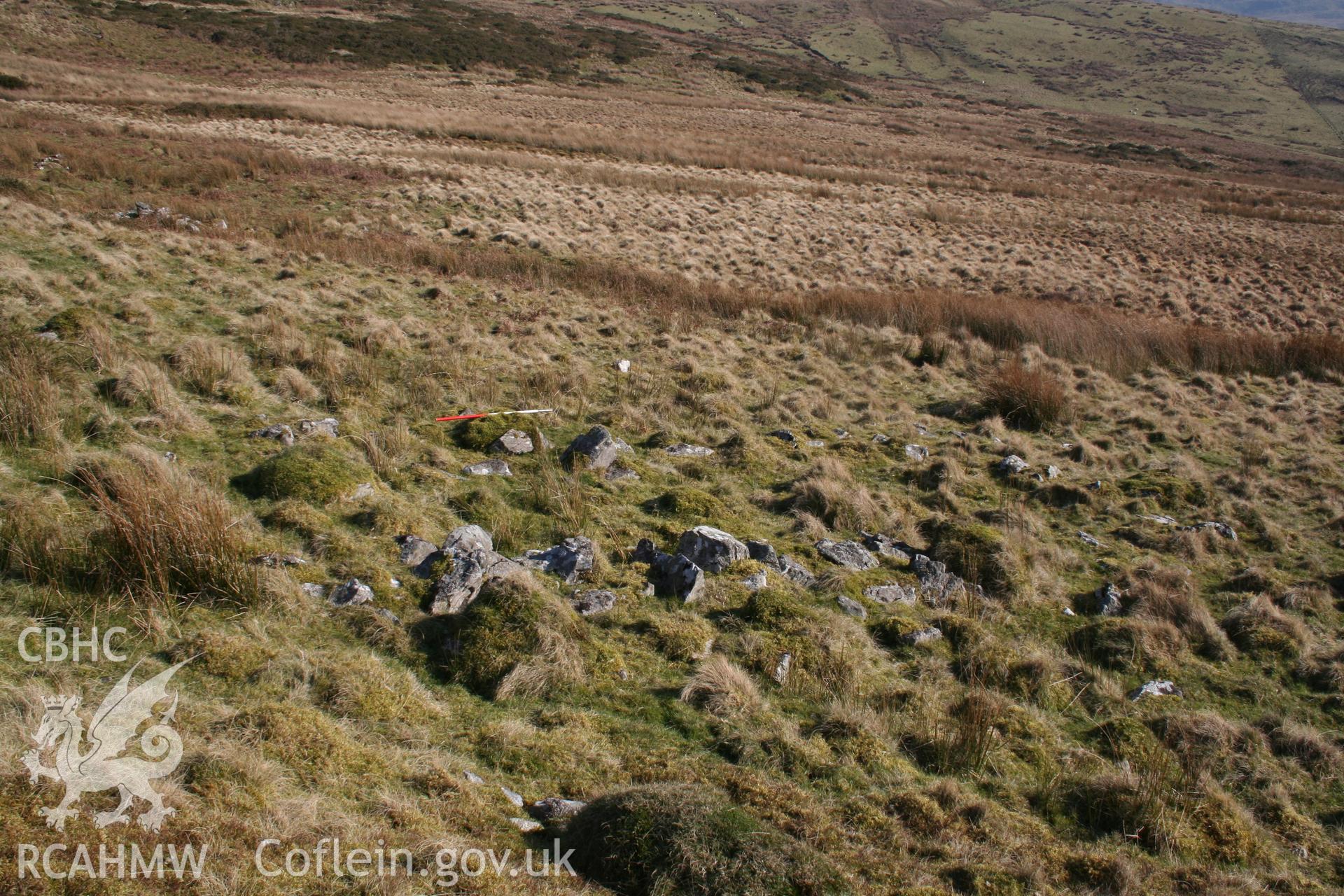 View of foundations from the south-west; 1m scale at north-west end.