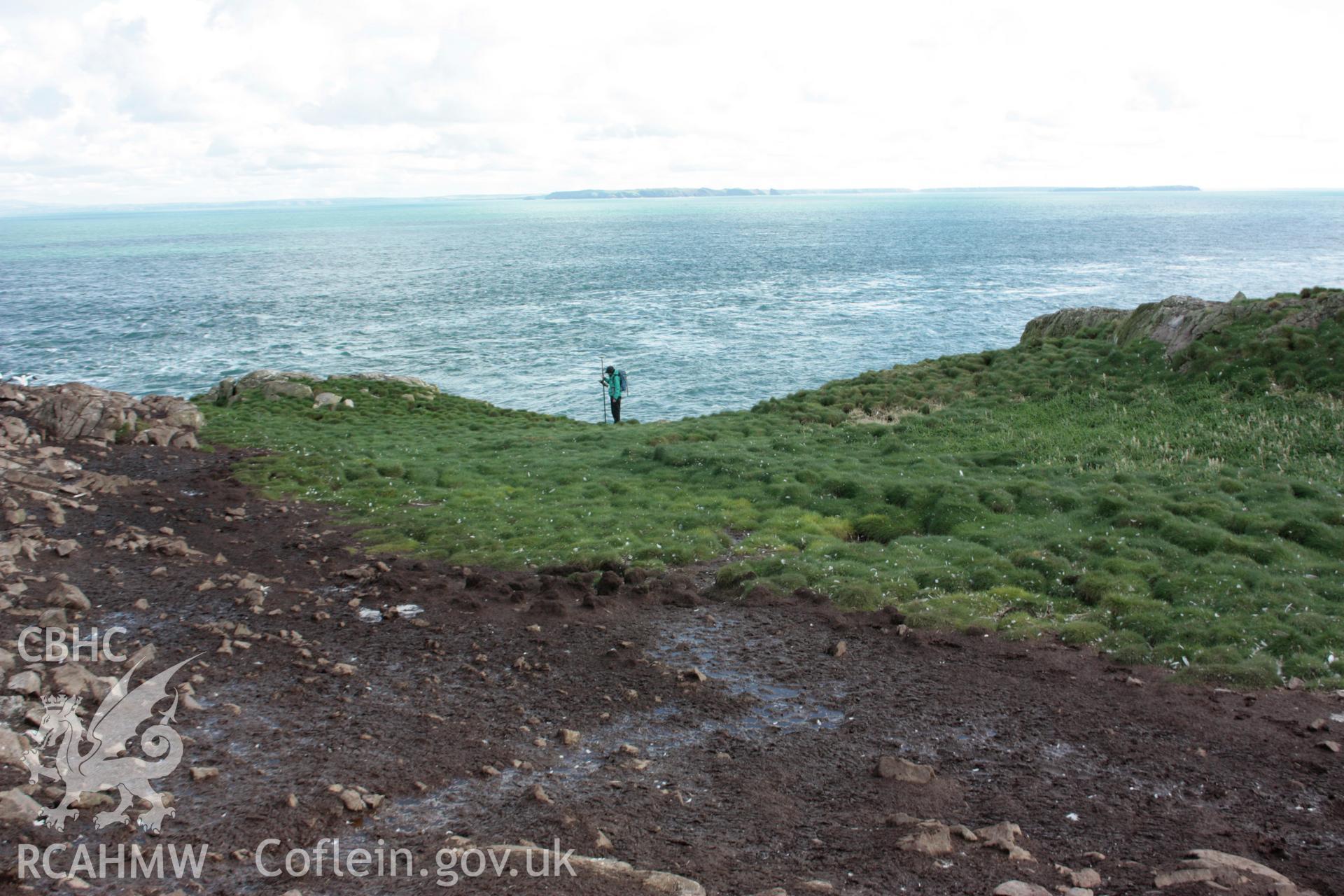 Conjoined rectangular structures on Grassholm Island, looking north.