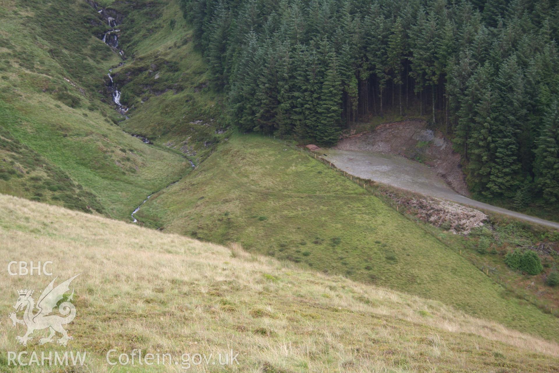 View of leat emerging from forestry from the west.