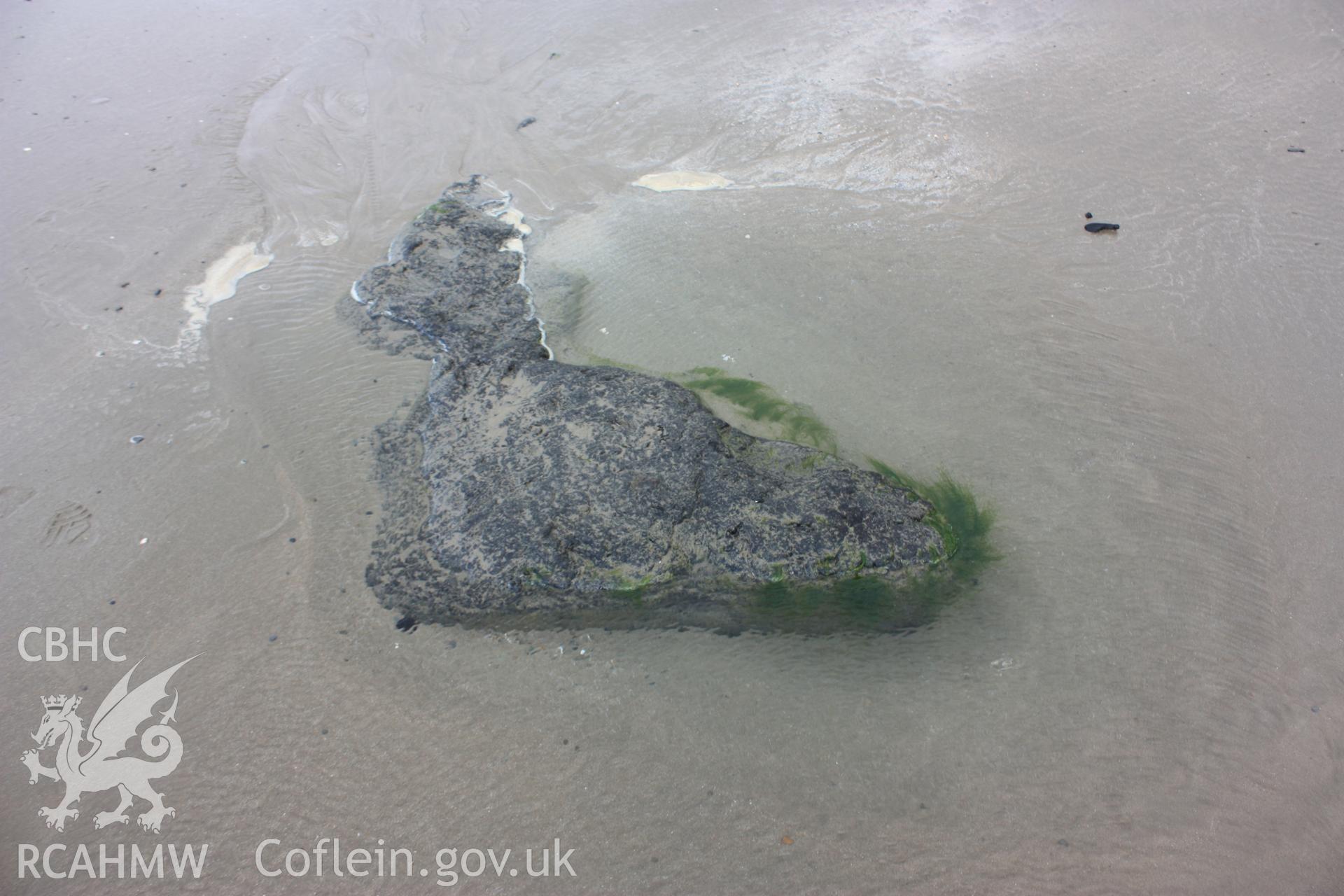 Peat deposit exposed near storm water outfall