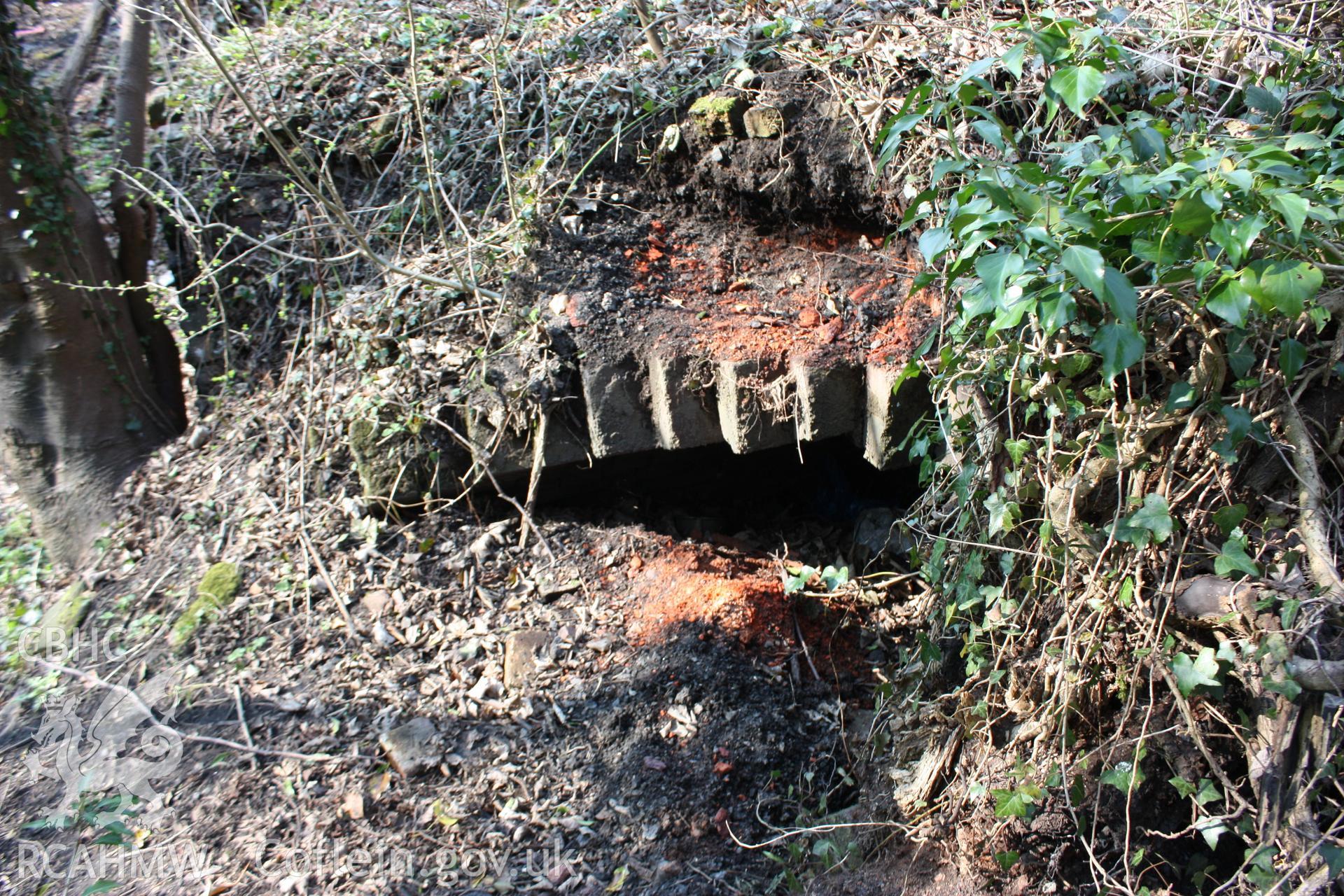 Partially buried coke oven in a bank of six at the New British Iron Company works site.