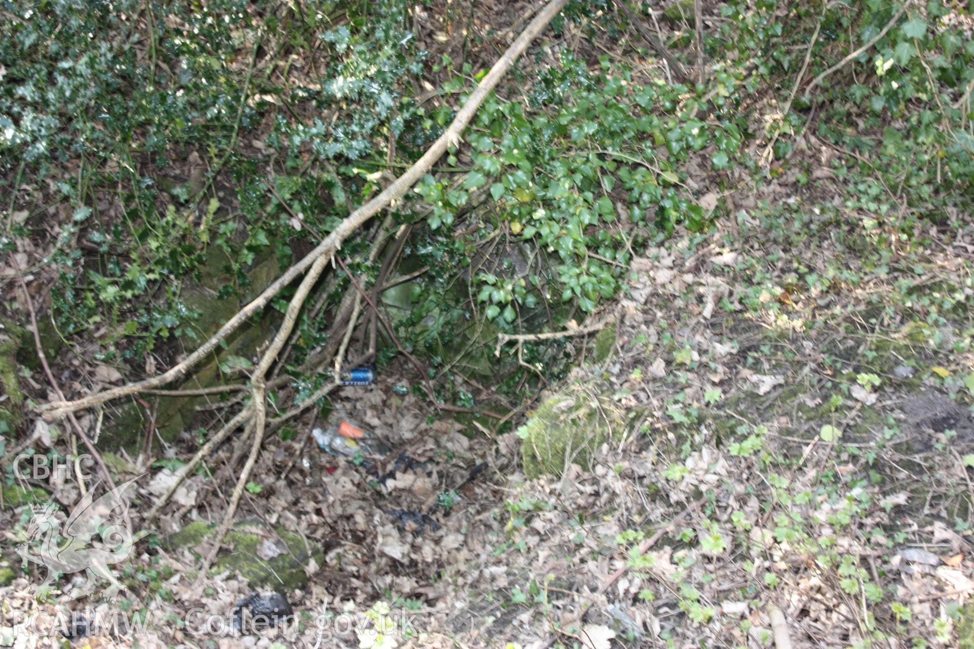 A small, rectangular, stone-built recess or in-filled shaft, possibly associated with the small brick-built arched structure in the woodland immediately in front and below it.