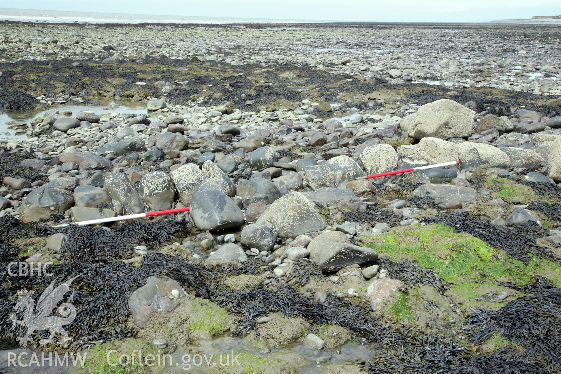 Northern section of fish trap arm, looking west. Shows alignment of boulders composing stone wall, with two 2m ranging poles showing scale and orientation.