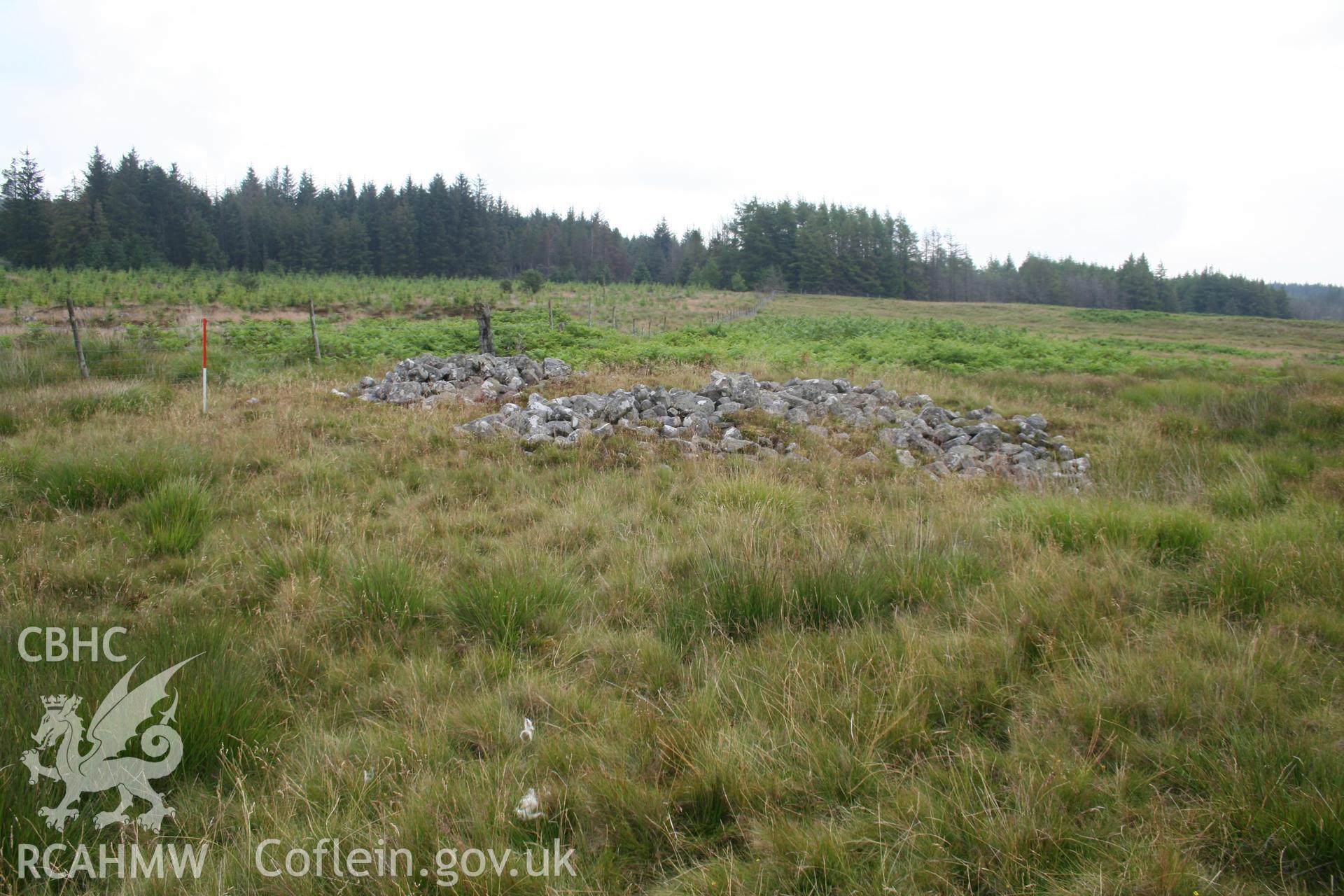 Cairn viewed from the west; 1m scale.