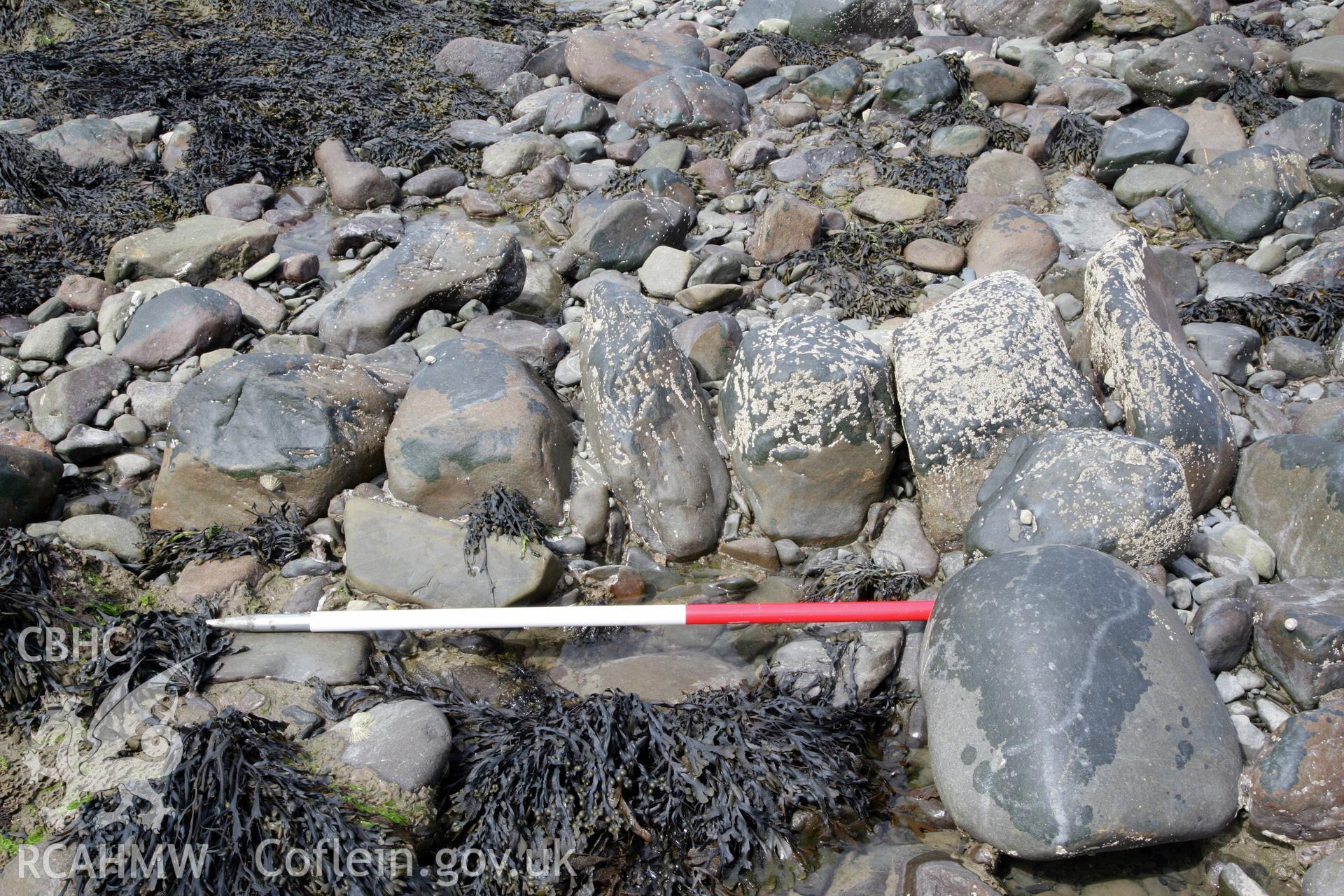 Northern section of fish trap arm, looking west. Shows alignment of boulders composing stone wall, with 2m ranging pole for scale.