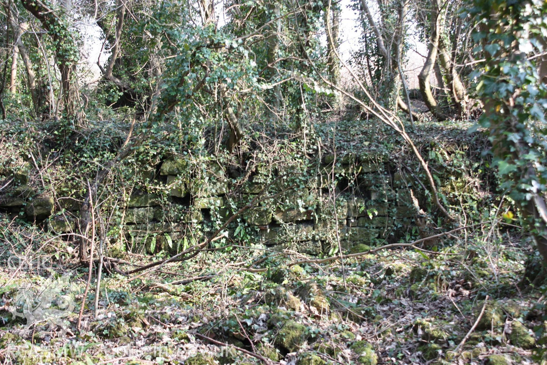 Wall lines associated with two banks of coke kilns at the former New British Iron Company works site. This wall is made of rough cut sandstoe, and runs to the southern extent of the coke kilns.
