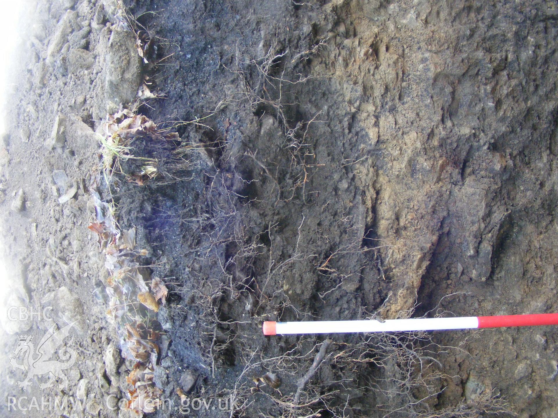 Digital photograph from an archaeological evaluation for a barn conversion and watching brief on a sheepfold at Mynachdy Farm, Ynysybwl December 2008; by S. Mayes and D. Rouse, Archaeological Investigation Ltd.