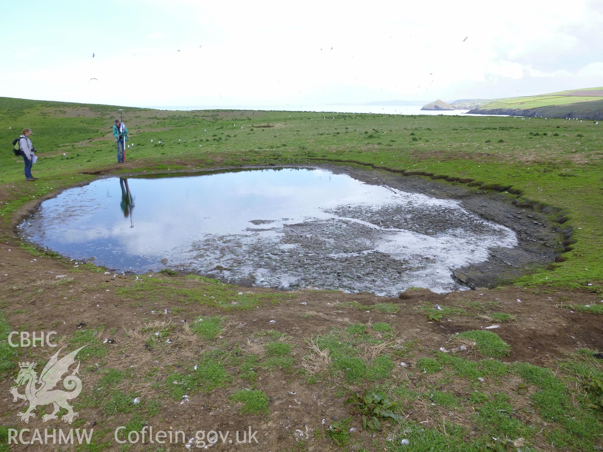 Pond I on Cardigan Island, looking north