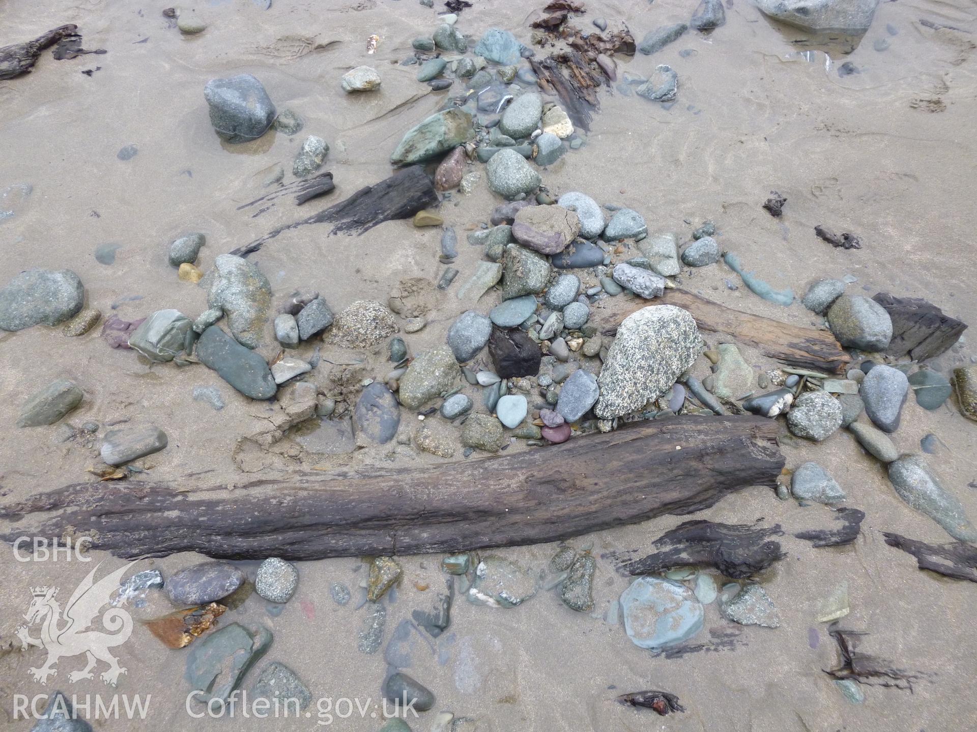 Smaller branches in amongst the beach cobbles