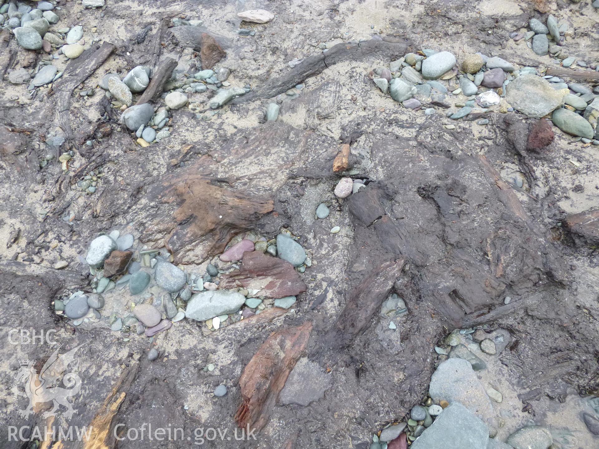 Submerged forest and peat exposures viewed from landward
