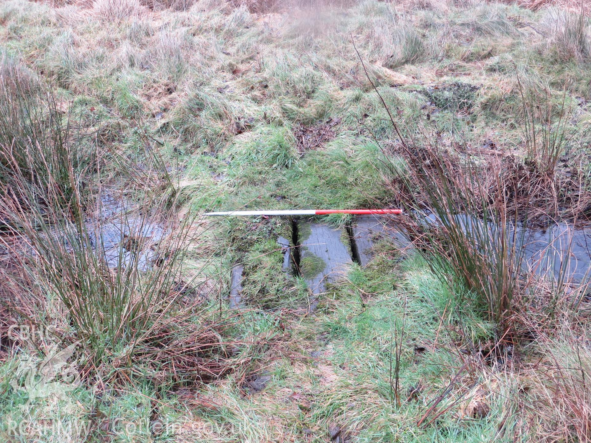 Footbridge across stream below target area.