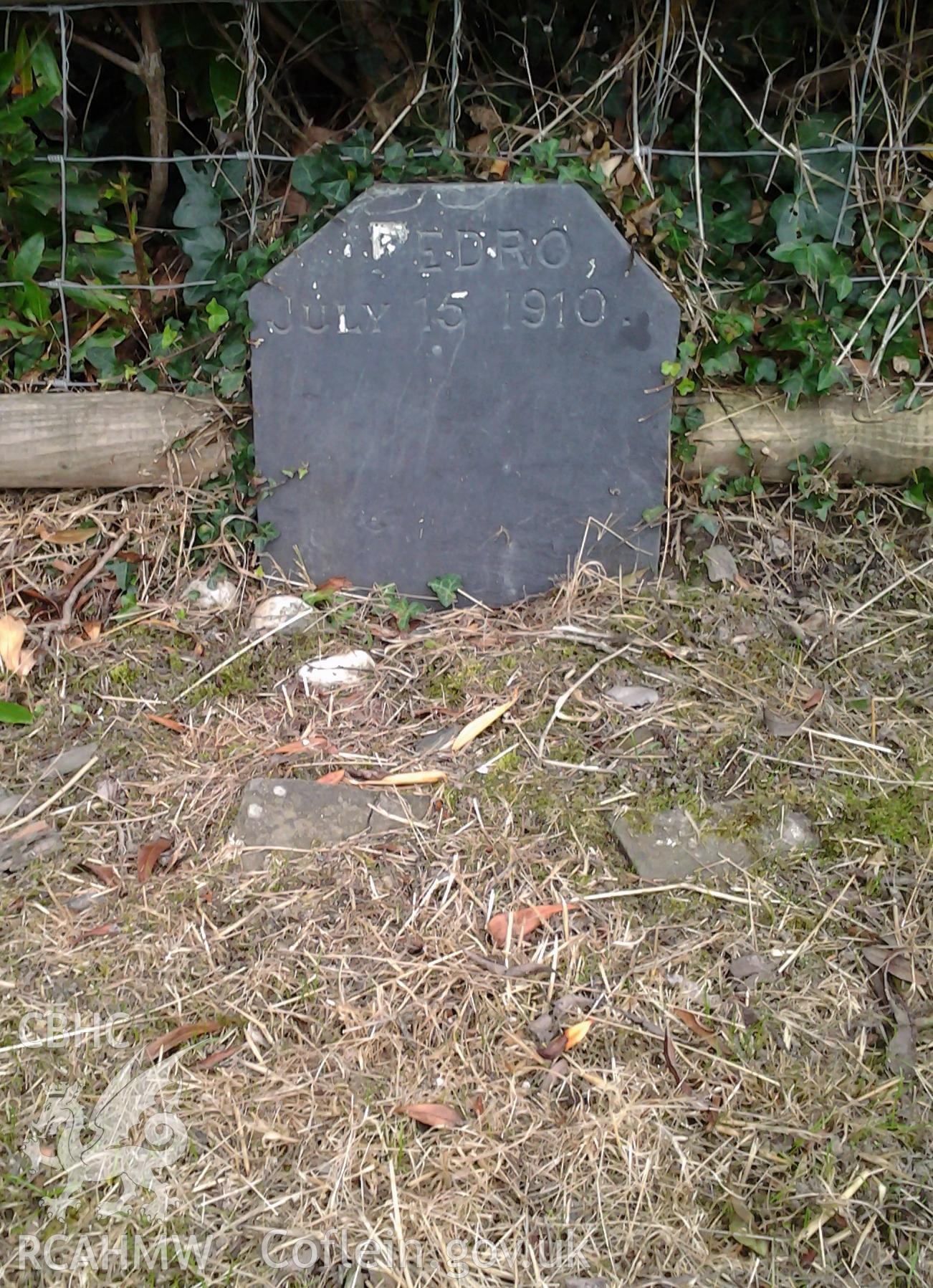 Slate memorial stone to family pet - Pedro July 15 1910 - alongside the outer fence of the churchyard