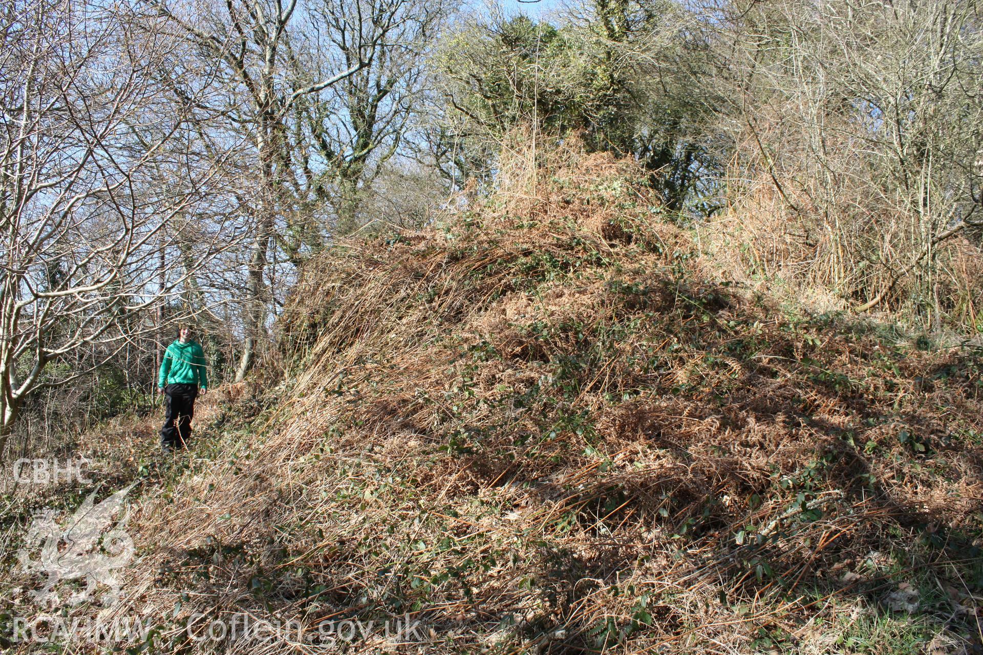 Nevern Castle, May 2010. Southern terminal of the western rampart bank at the postern gate.
