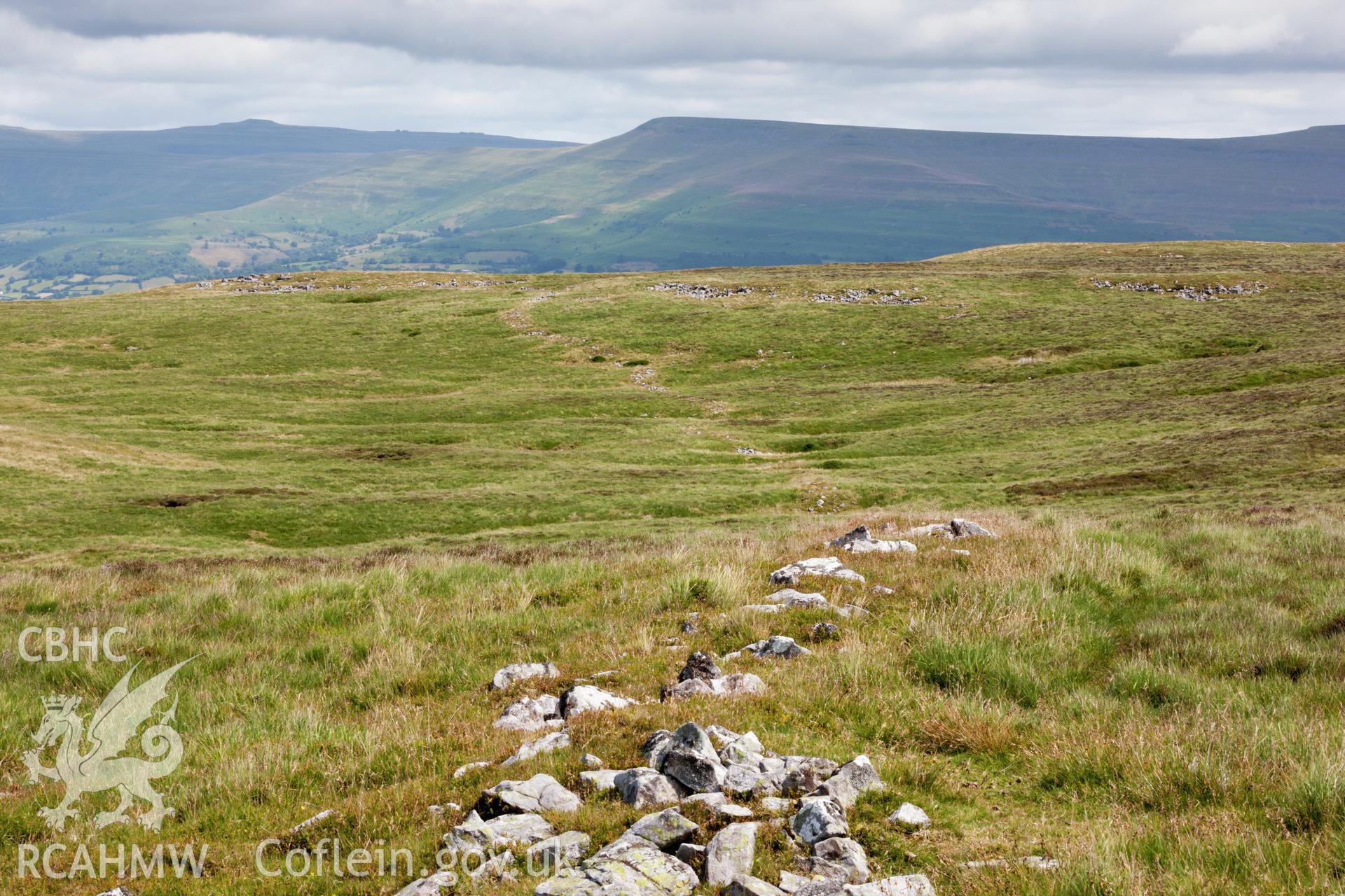Stone bank earthwork at Clo Cadno, photographed by Iain N. Wright in July 2015.