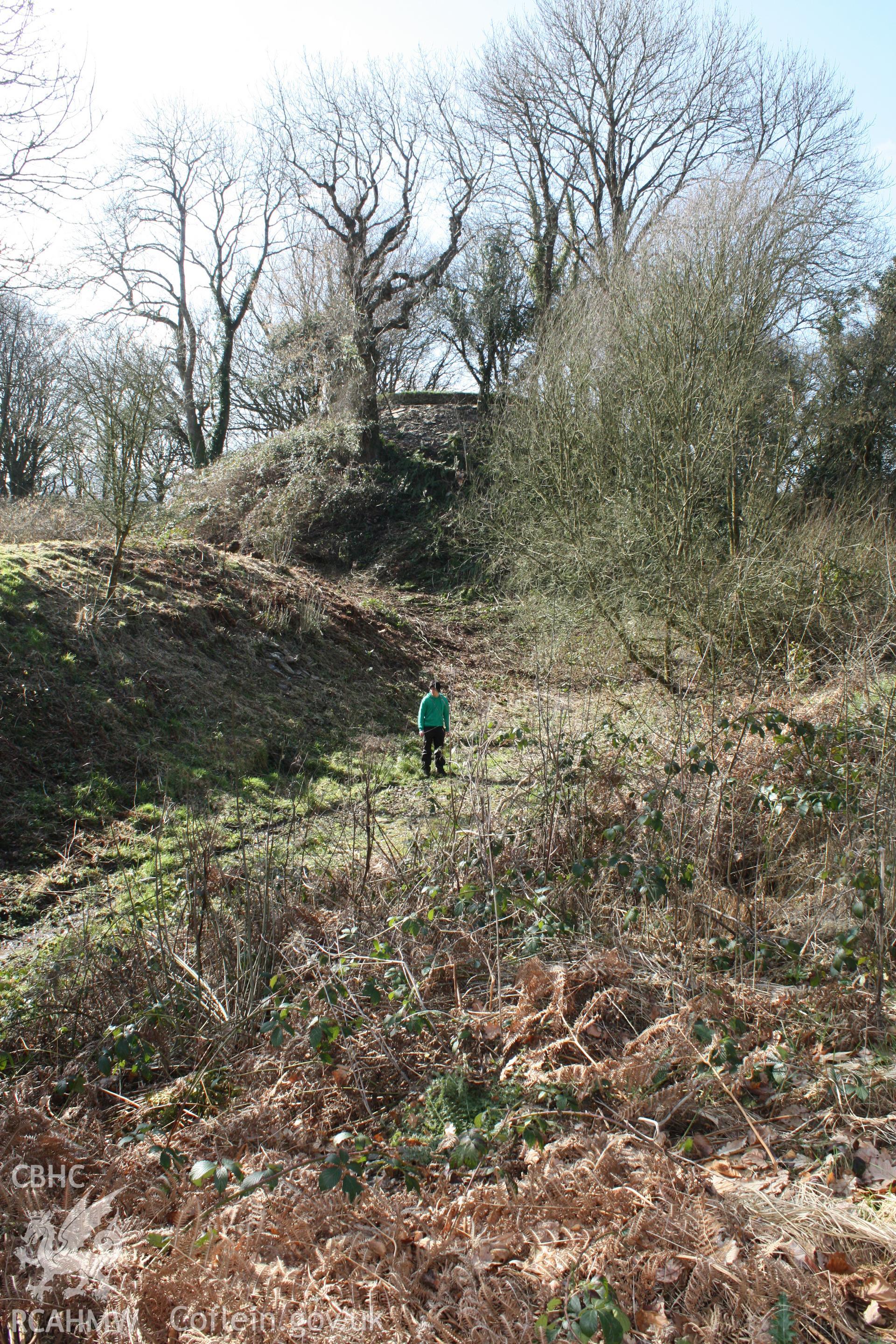 Nevern Castle, May 2010. View from the north-east across the ditch of the inner rampart to the castle motte and tower.