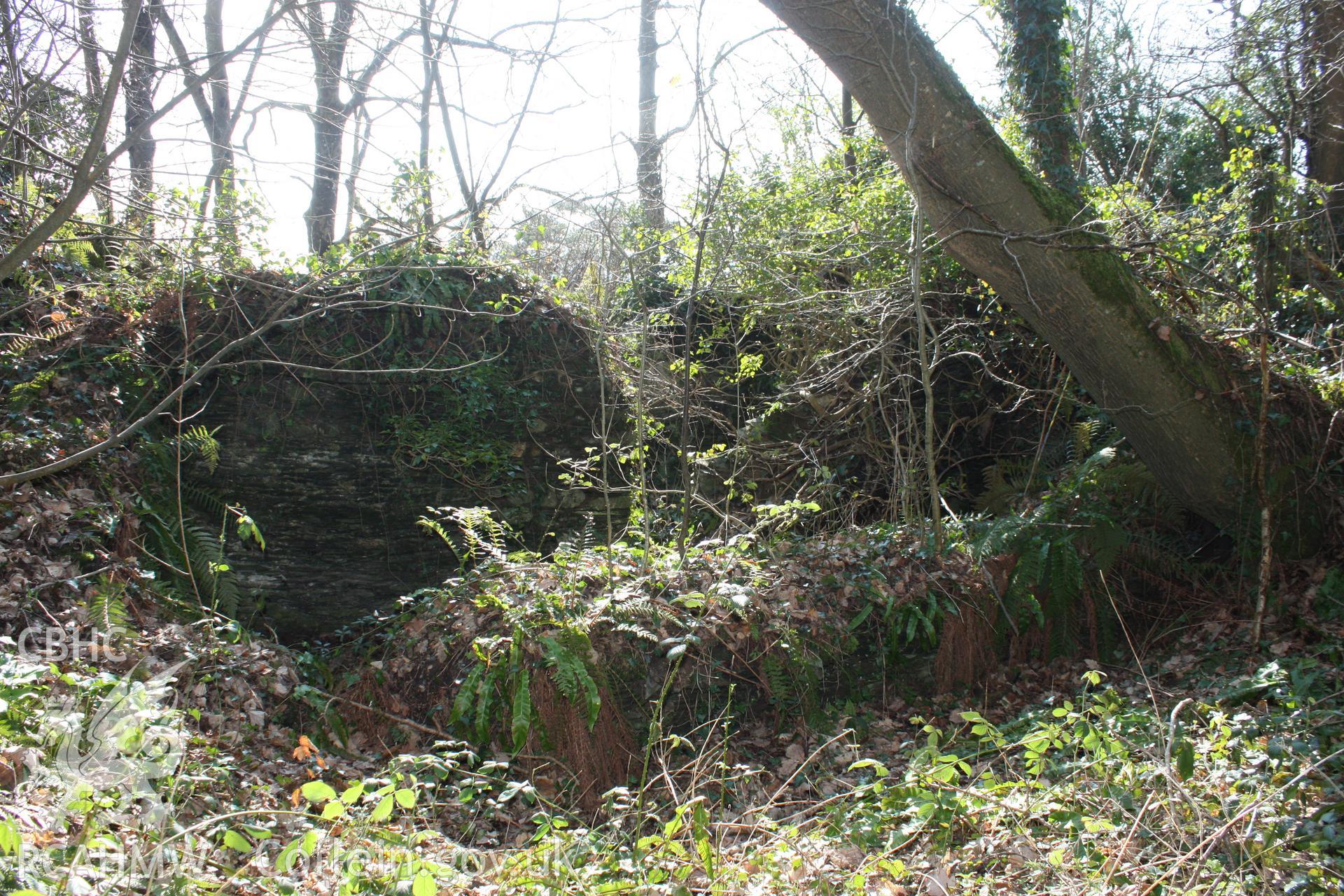 Nevern Castle and Pwll y Broga cottage, May 2010. Annexe attached to rear (north) side of the cottage.