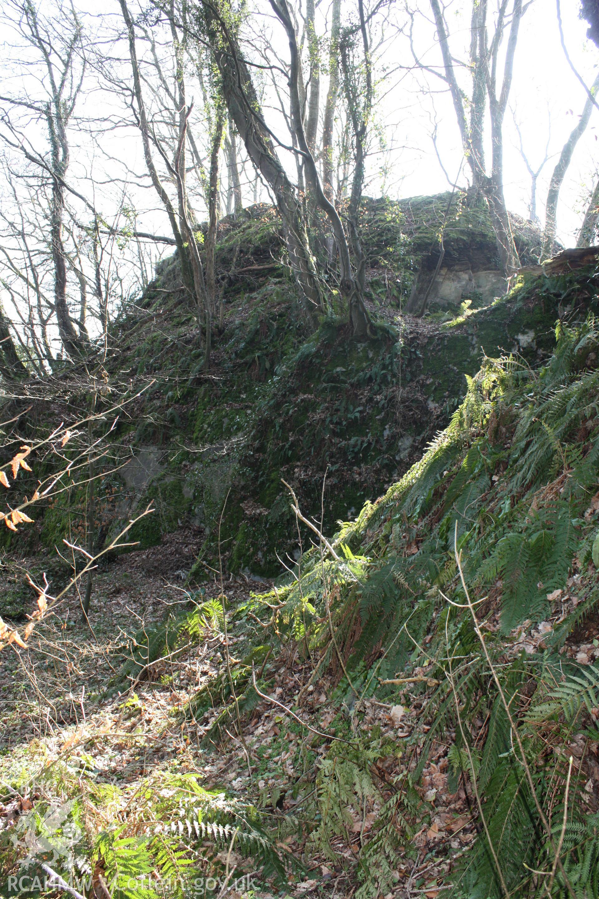 Nevern Castle, May 2010. View of the rock outcrop of the the inner castle from the north.