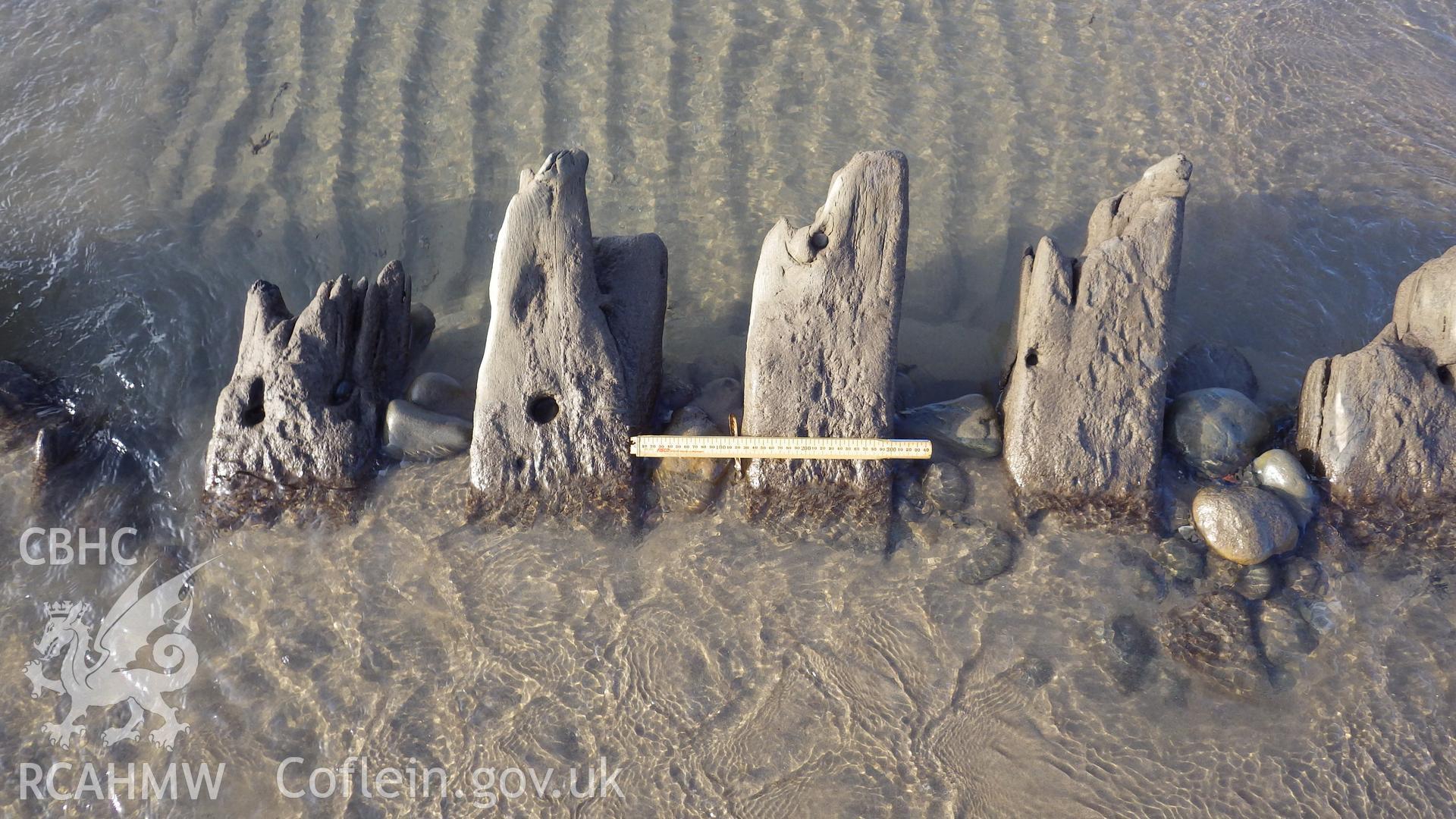 Sequence of most upstanding frames at towards western end with scale showing spacing (120mm)