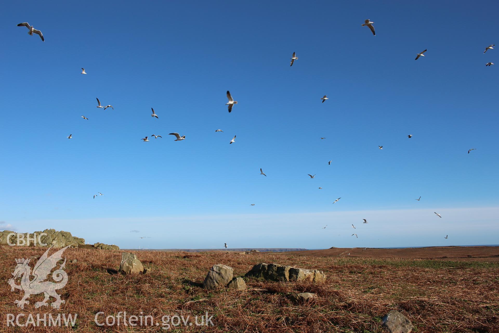 SUB-MEGALITHIC SITE NEAR TO NORTH STREAM, SKOMER ISLAND, view from north-west