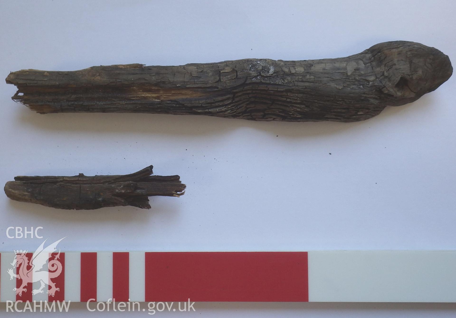 Investiogator's Photographs of timber samples (including treenail) from the UNNAMED WRECK