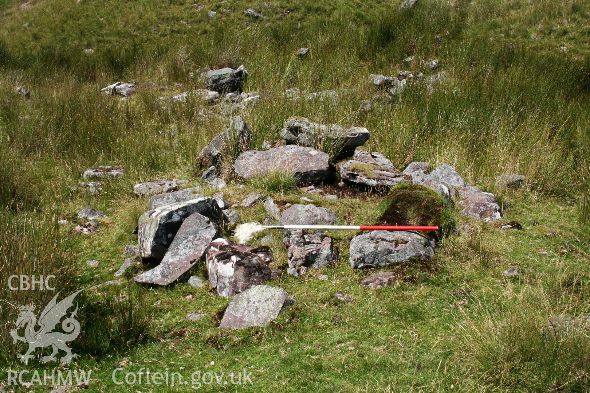 Digital photographic survey of a stony mound.