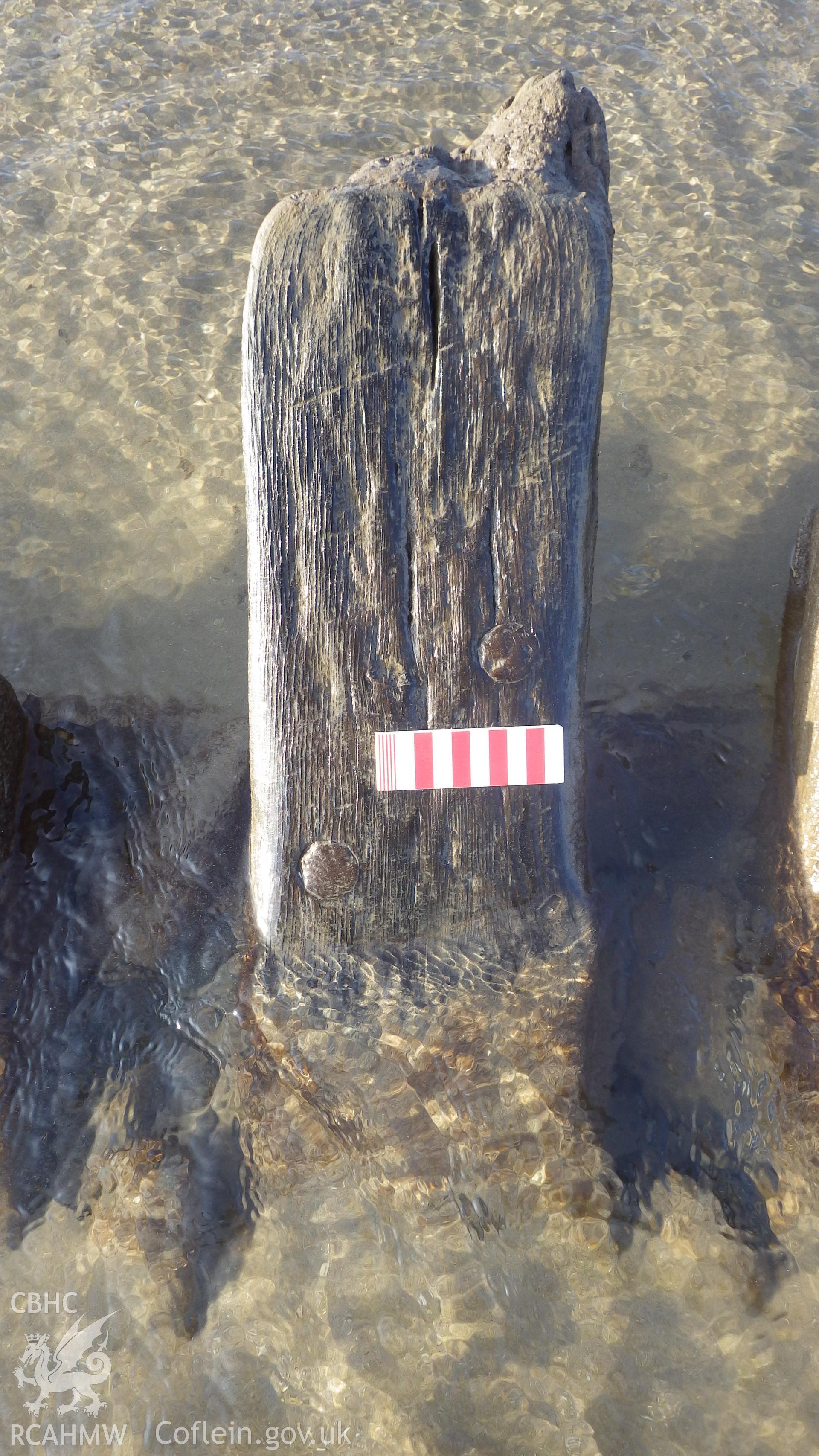 Frame 4 (numbered from western end) showing detail of treenail fastenings and possible scrive marks (?) (with photoscale)