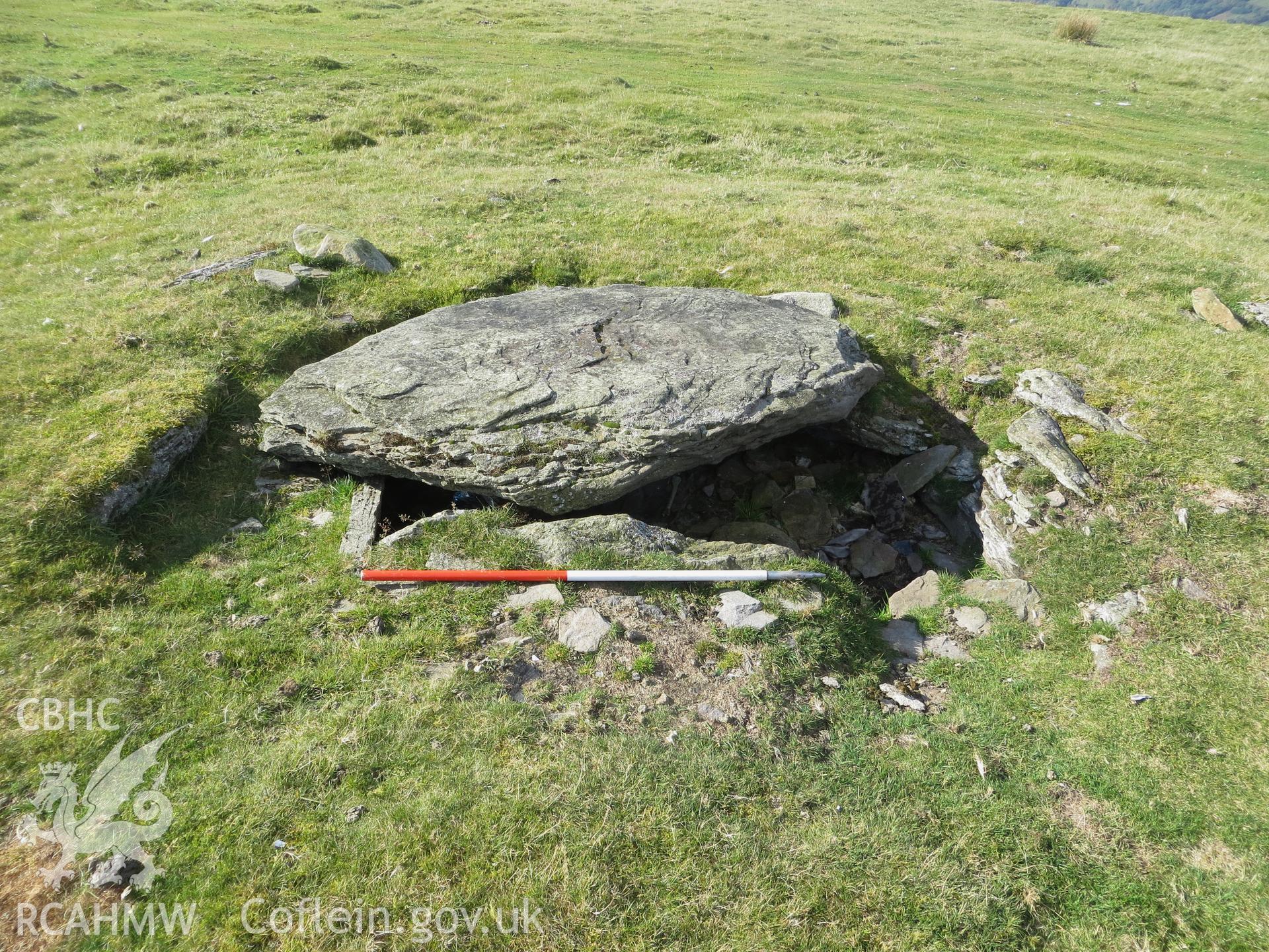 Close-up view of cist; 1m scale.