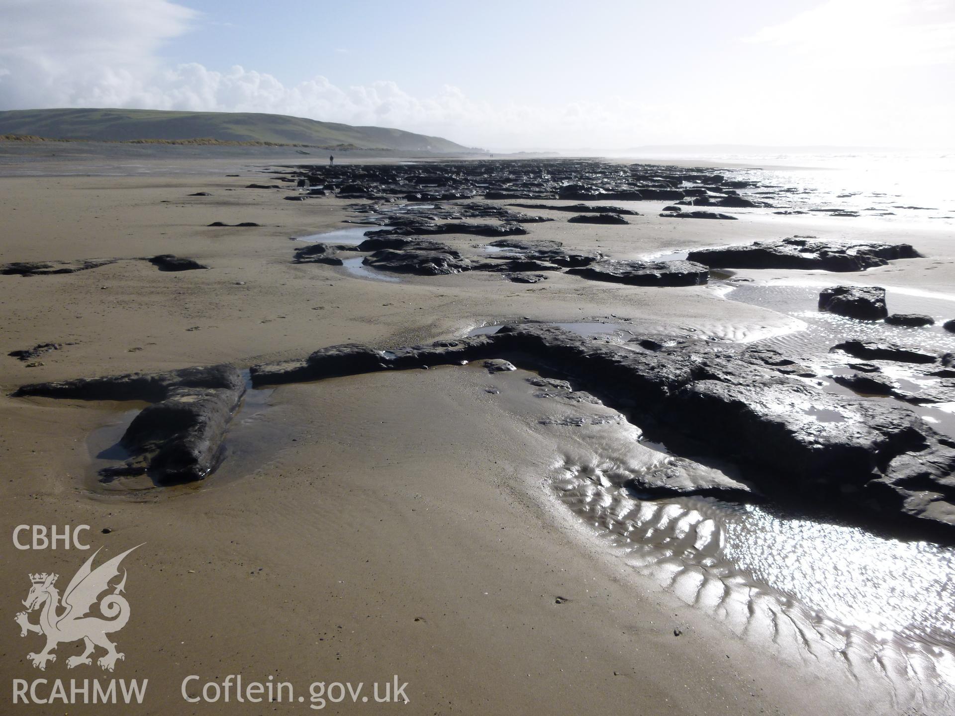 Expanse of peat exposure looking south