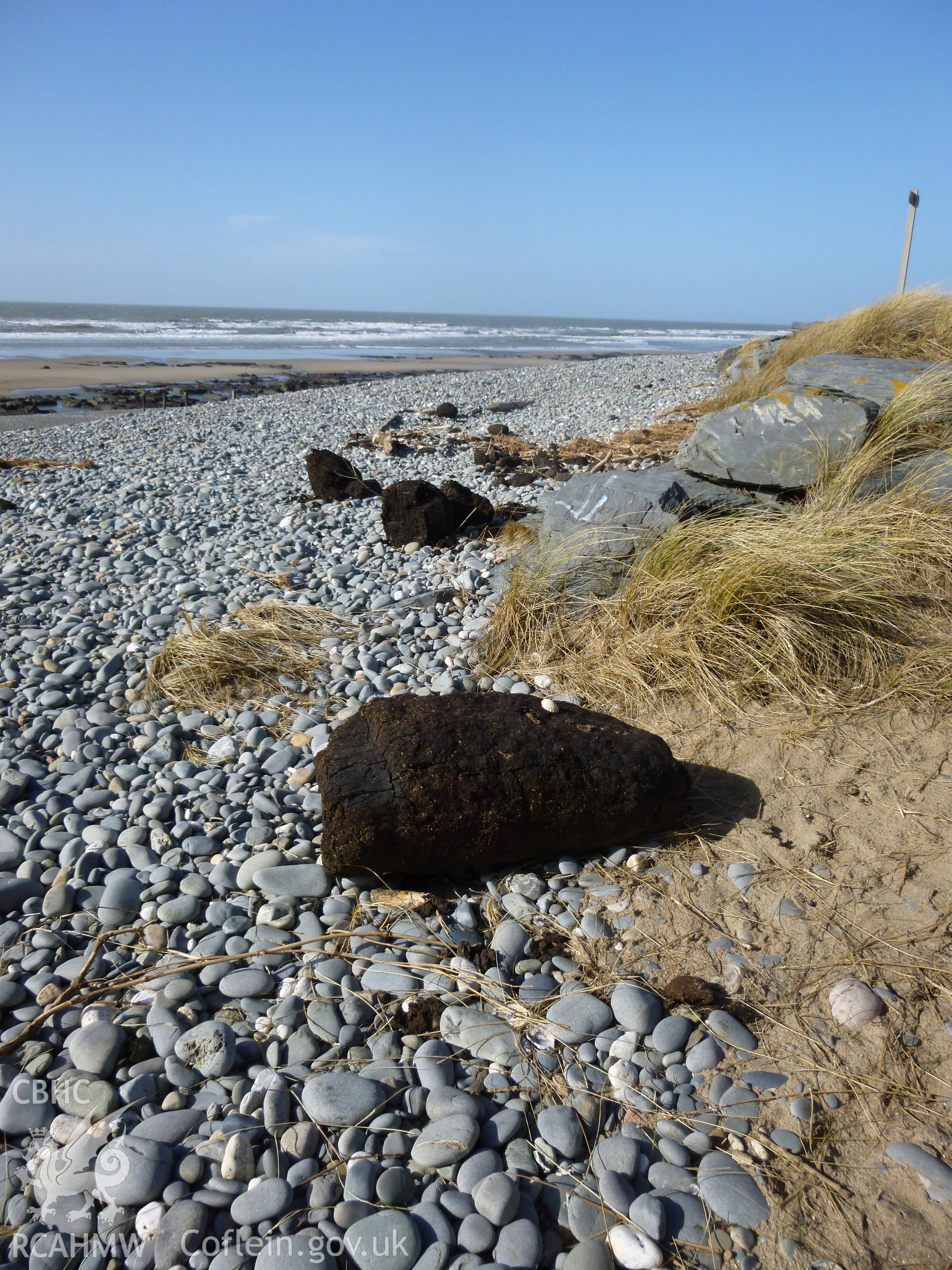 Large lumps of peat thrown up onto back beach