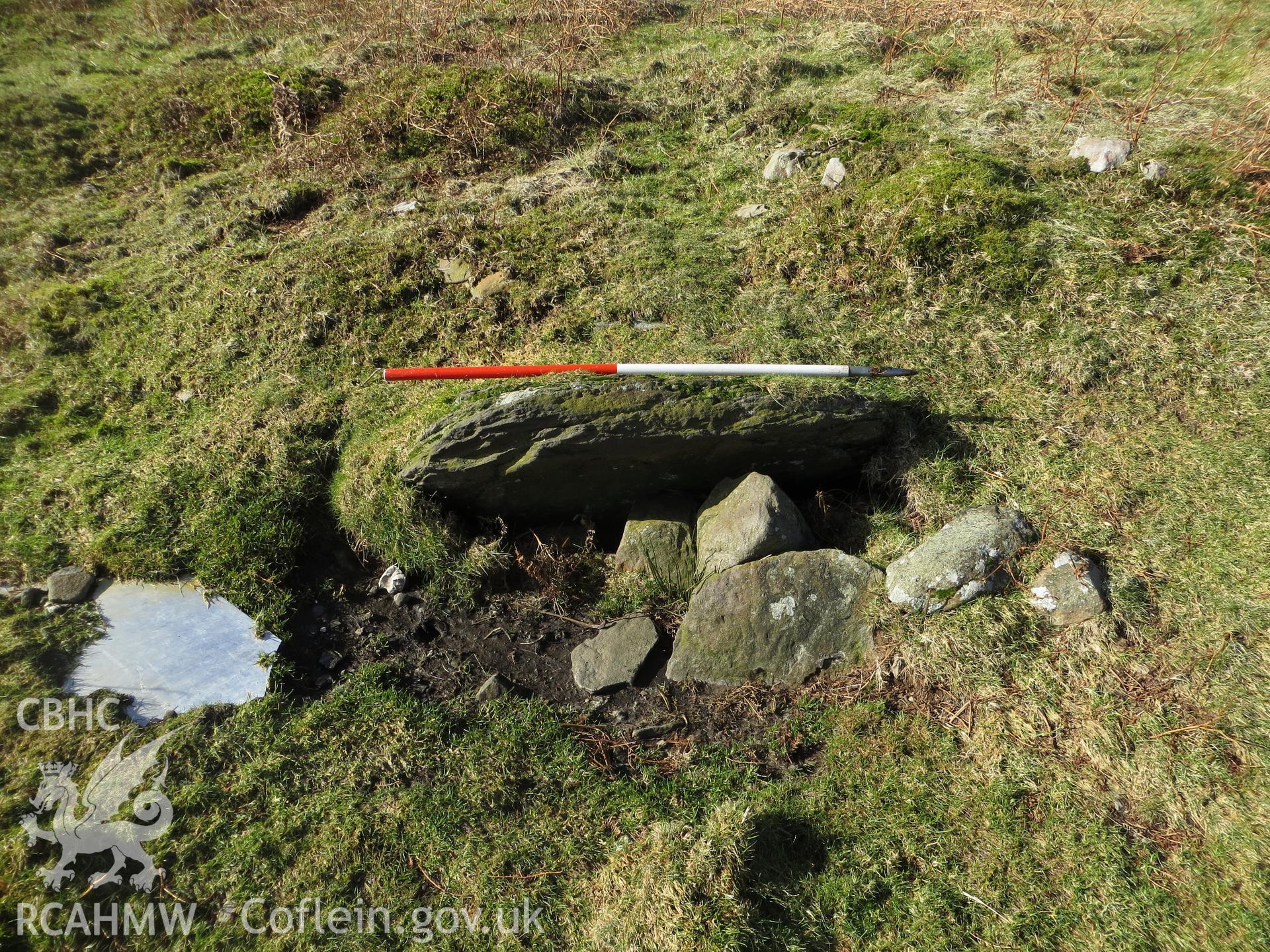 Site of cist; 1m scale.