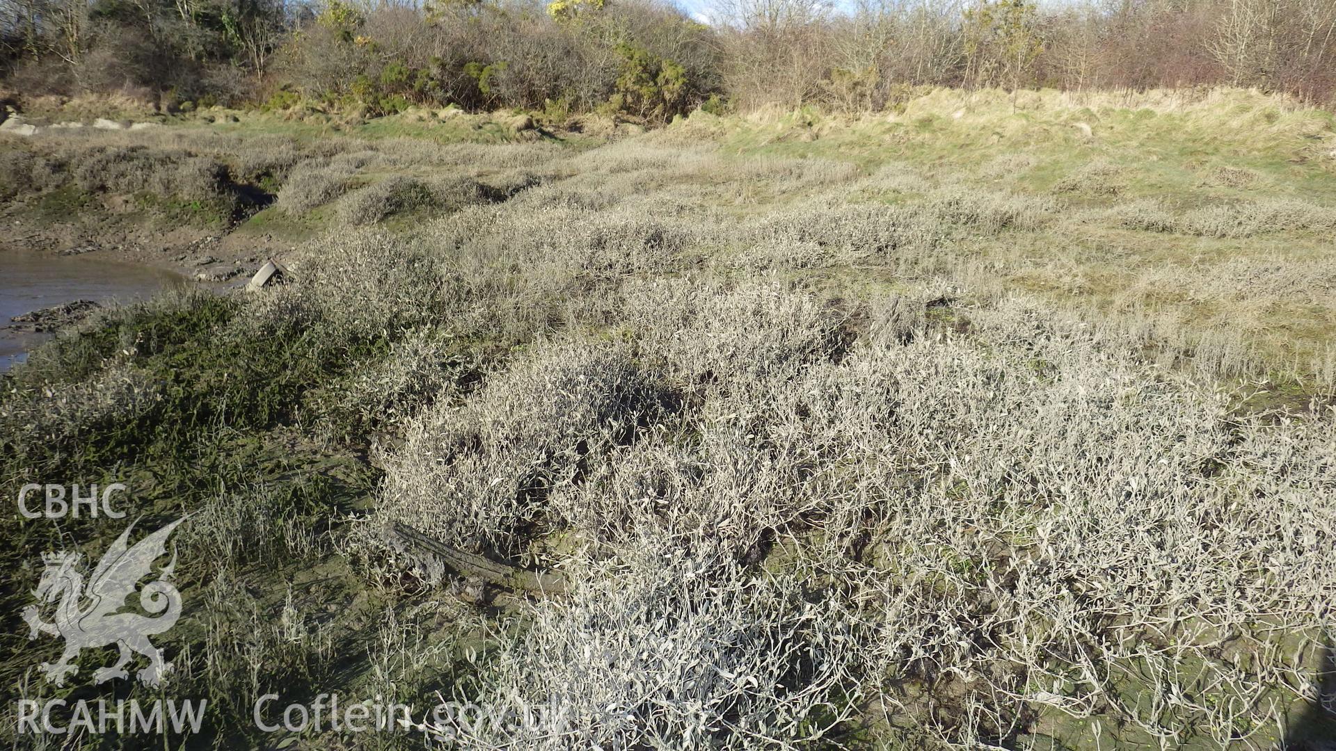 Infilled and overgrown - looking along the length of bulk of CHARLIE PEARCE from bow to stern
