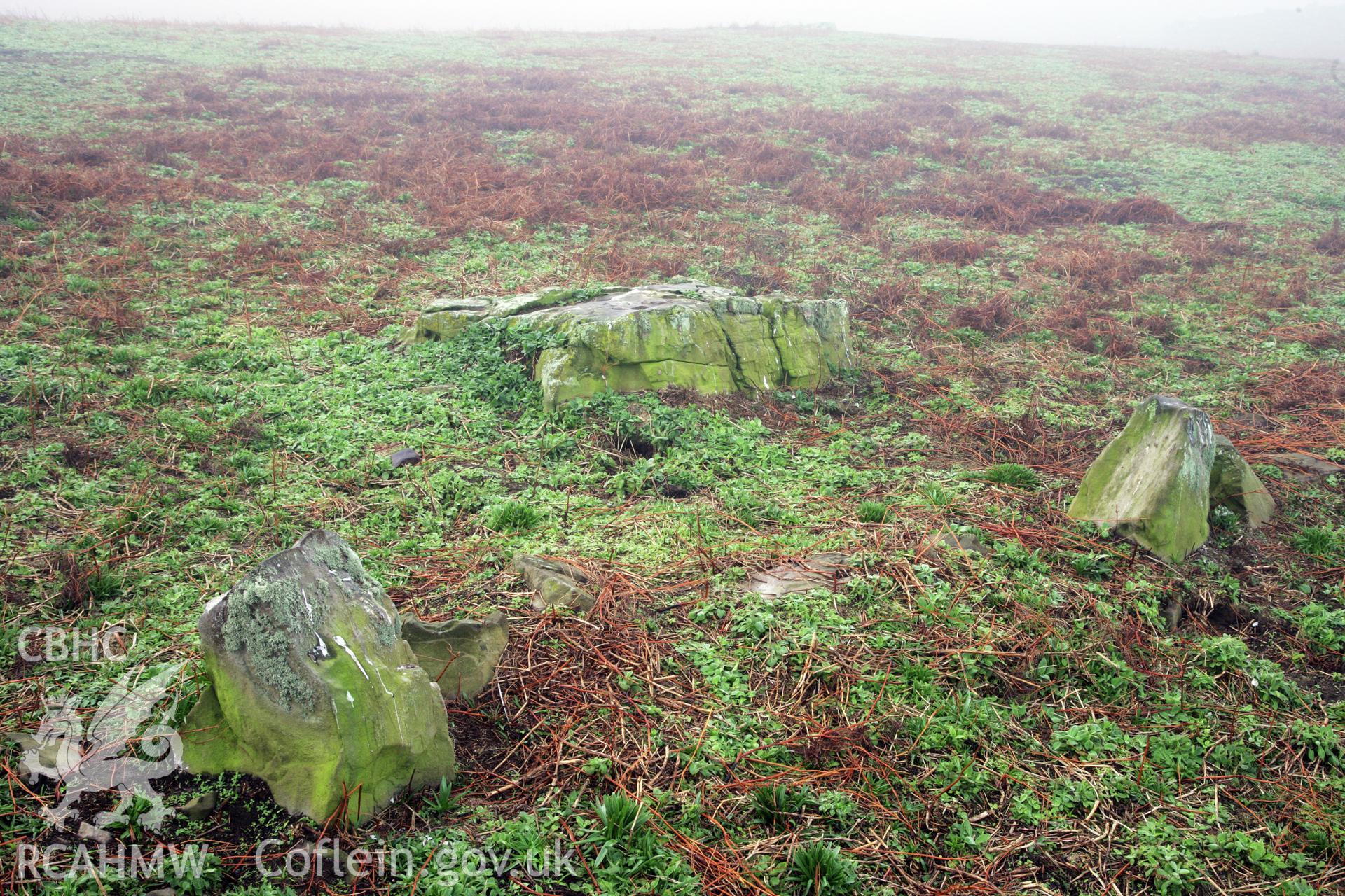 SUB-MEGALITHIC SITE NEAR TO NORTH STREAM, SKOMER ISLAND, view looking south