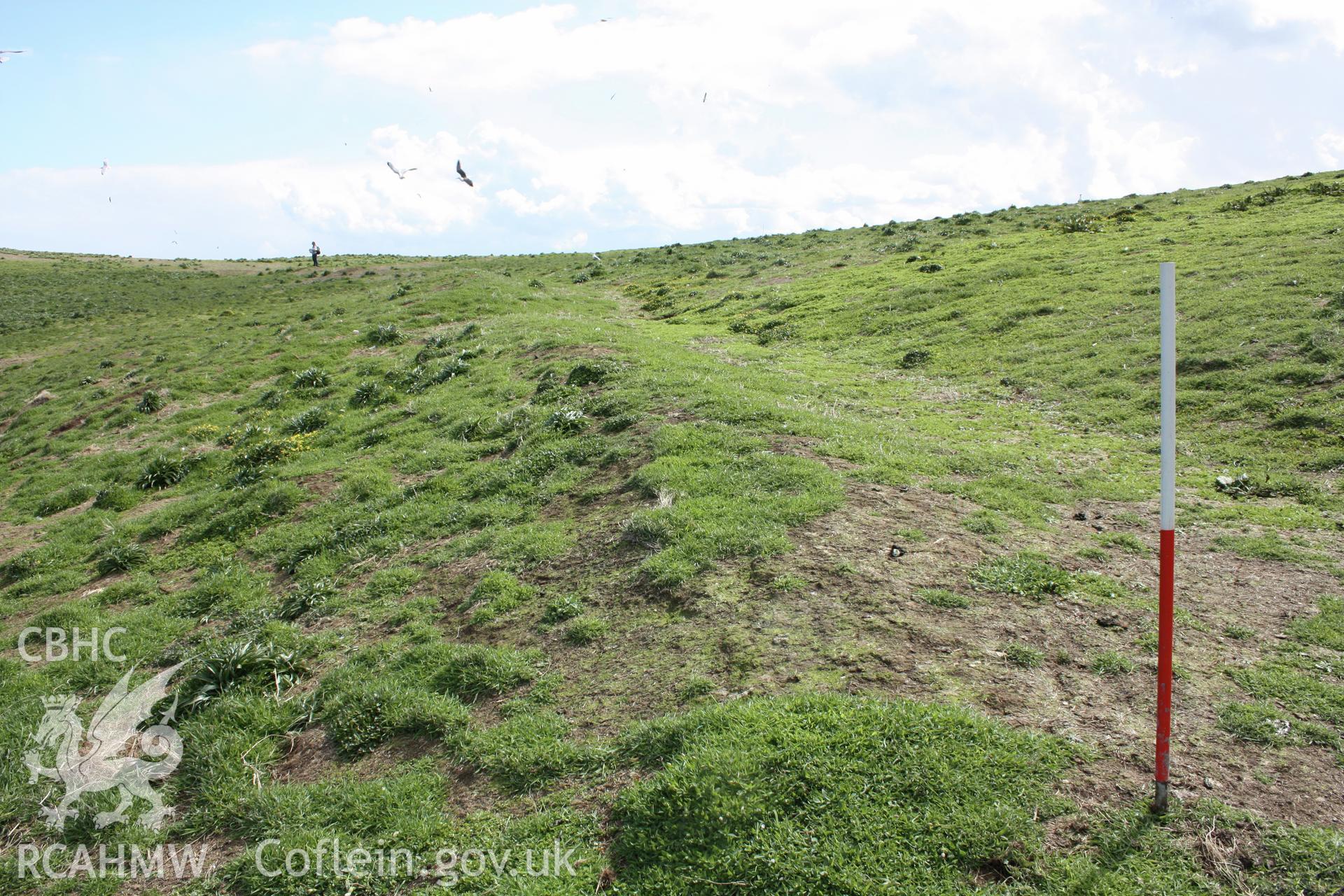 Looking north-east along the bank and ditch defining the southern corner of the promontory enclosure.