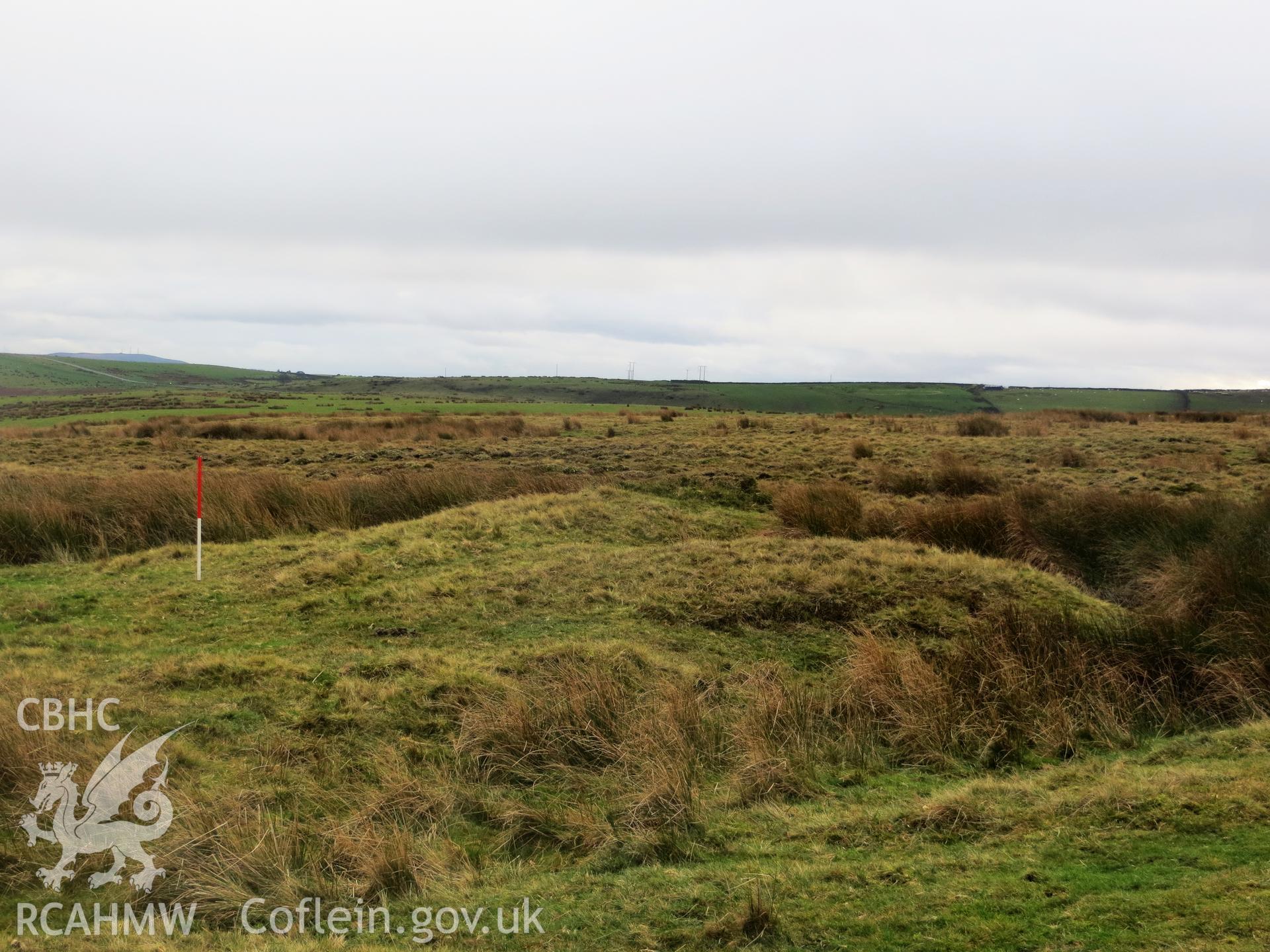 View from the north; 1m scale.