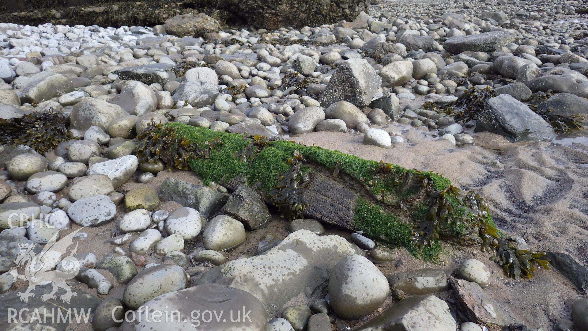 Disassociated timber lying to the south east containing rebated slot for plank ends (stern or stem post?)