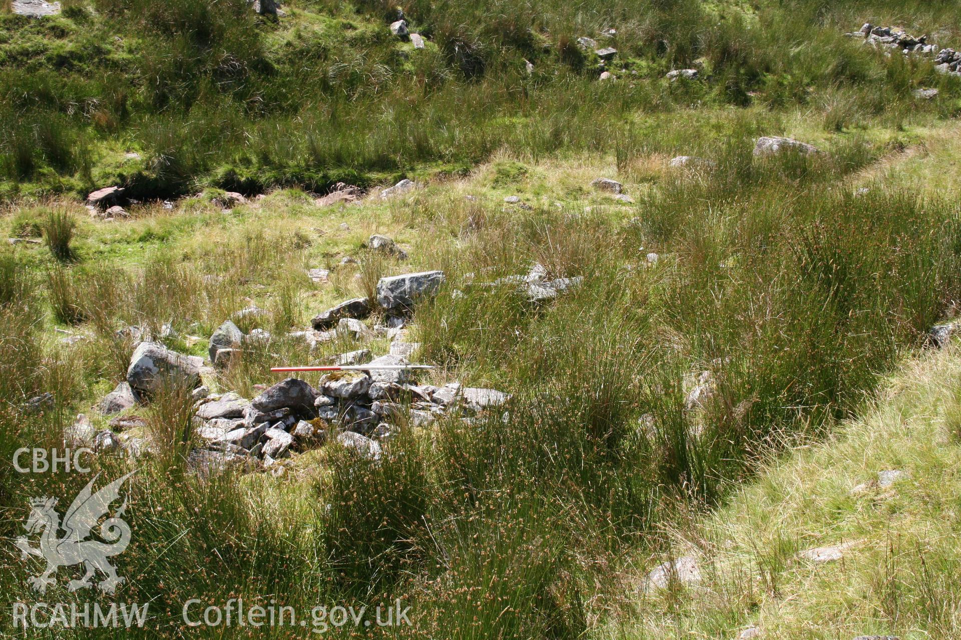 Densely overgrown remains seen from the east; 1m scale.