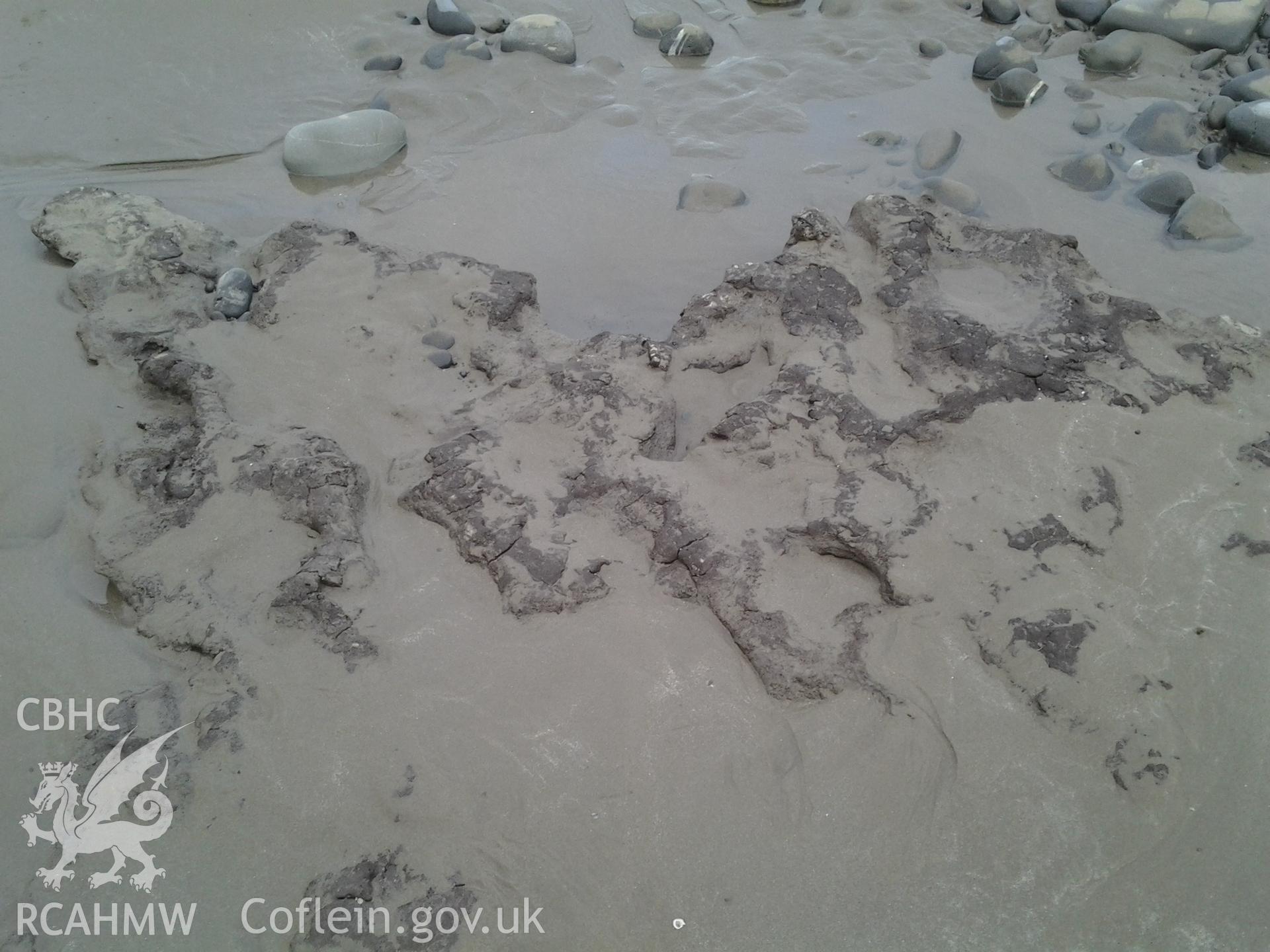 Preserved footprints (?) in surface of peat