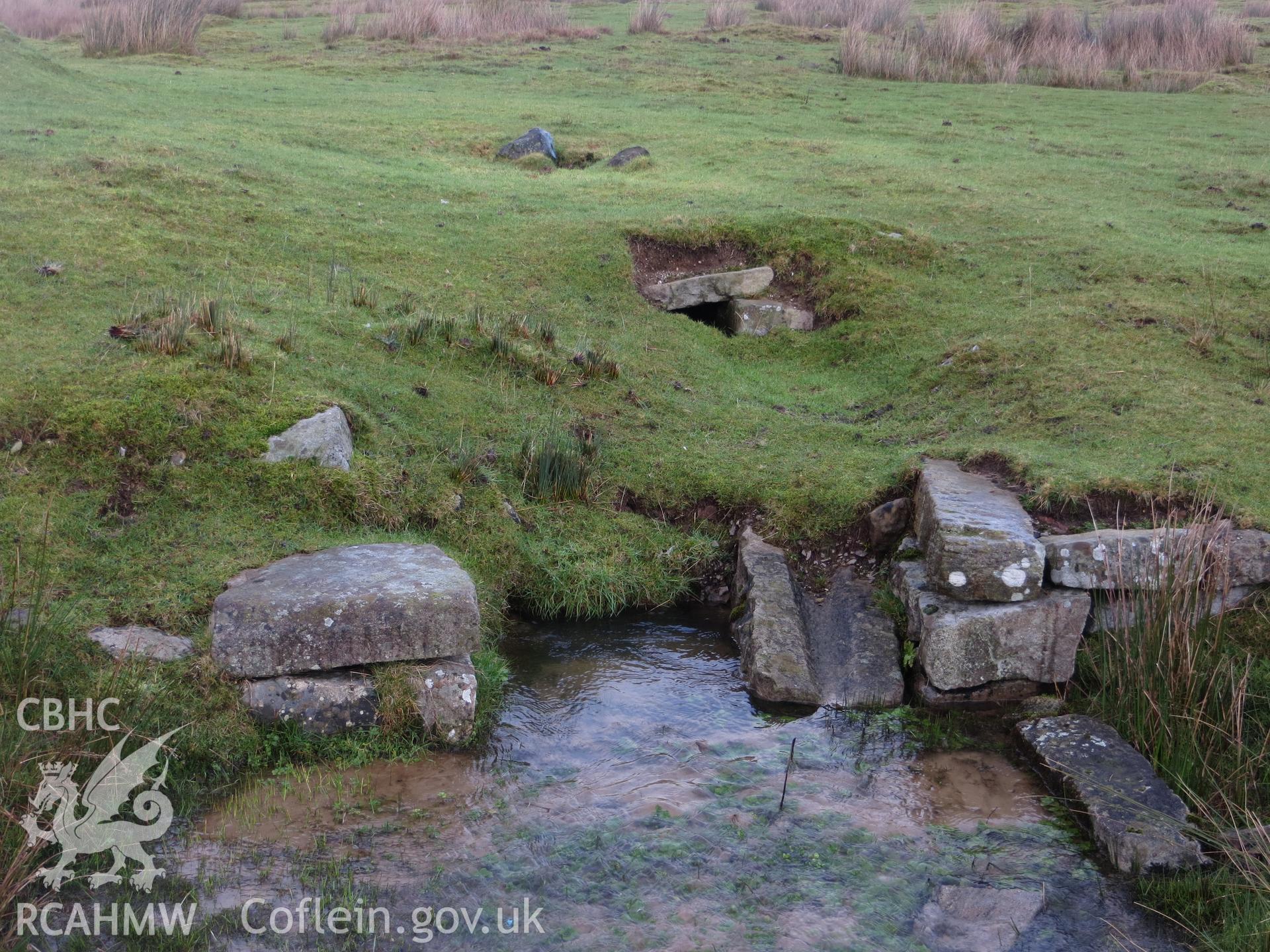 Close-up view of springhead.