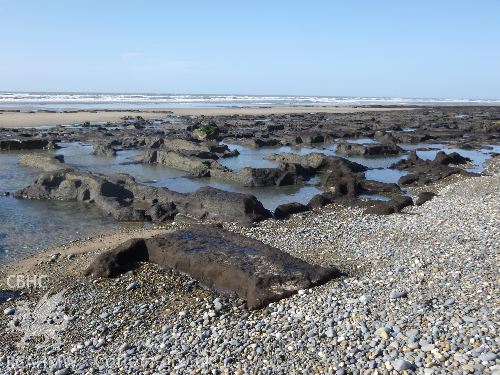 Expanse of peat cuttings