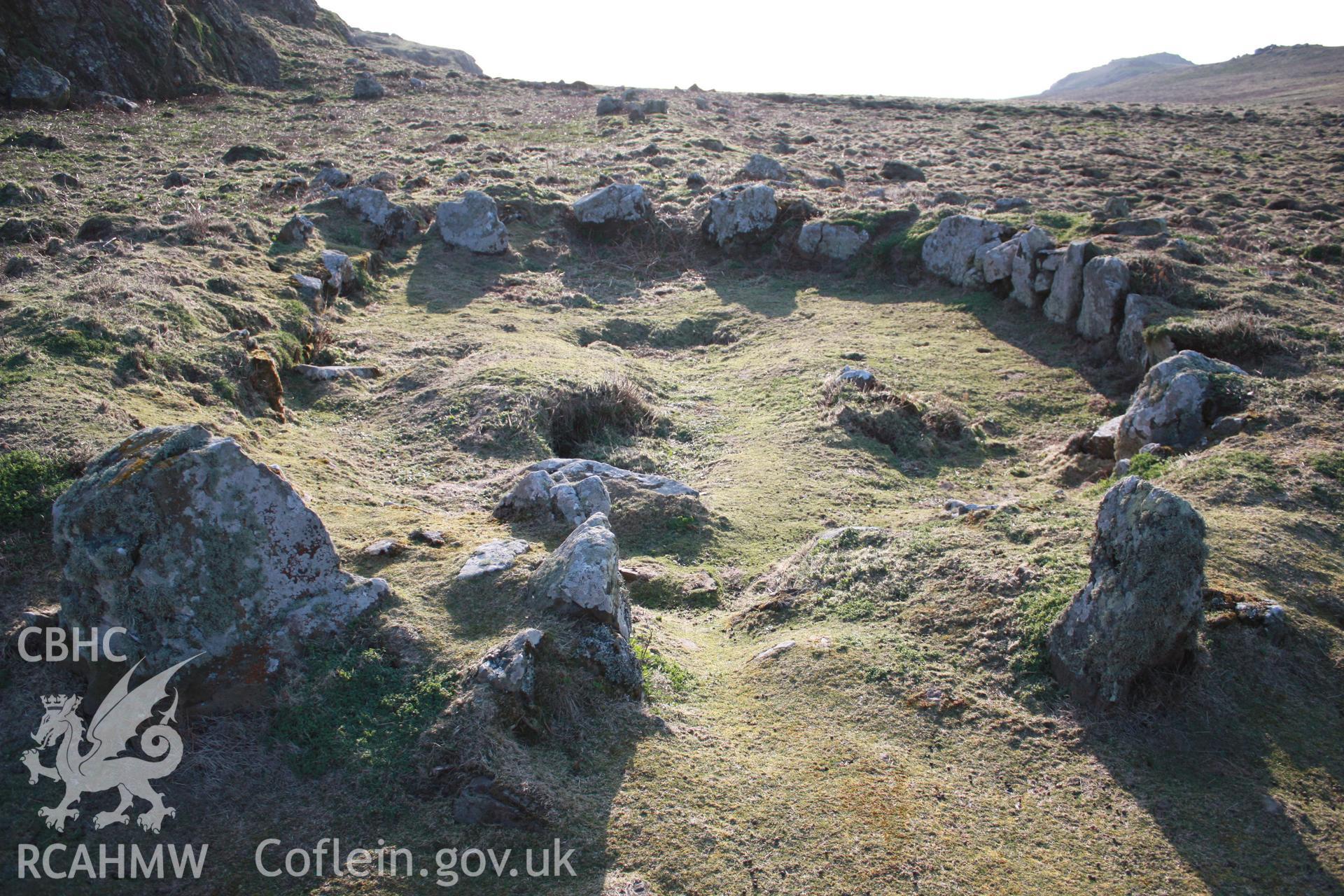 Skomer Island Hut 20, July 2011