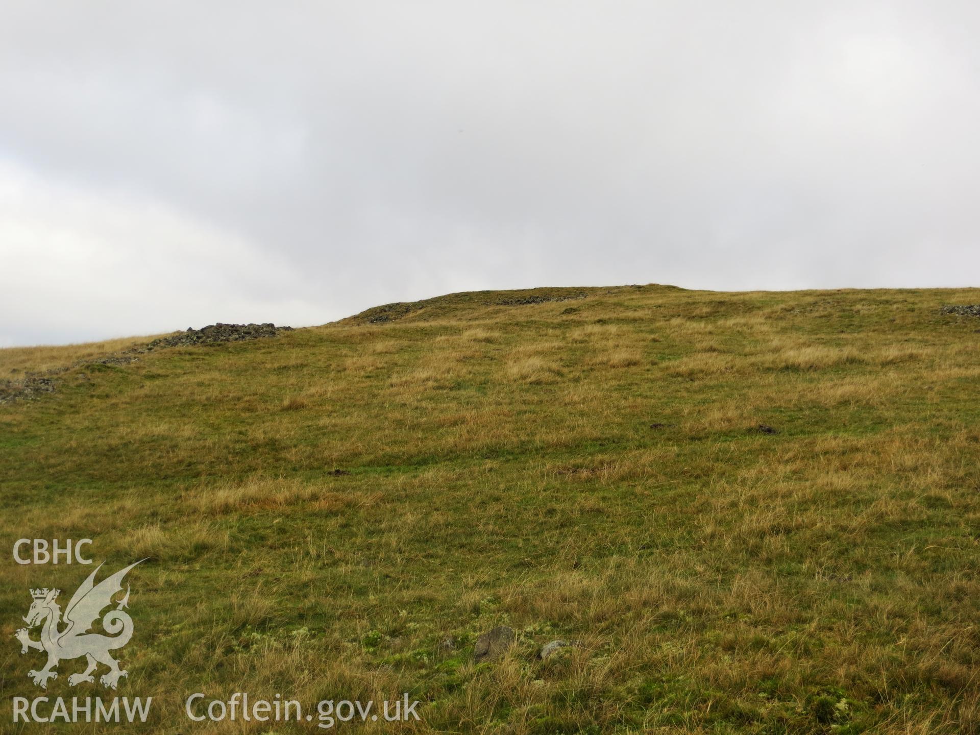 Cultivation ridges within enclosure attached to platform.