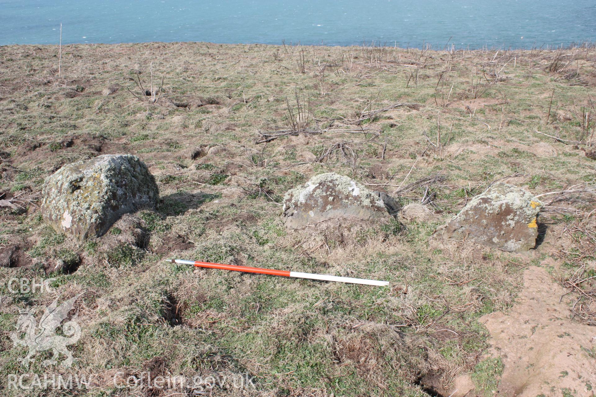 THE CHURCHYARD, SKOMER ISLAND, view of northern orthostats, looking north, 1m scale