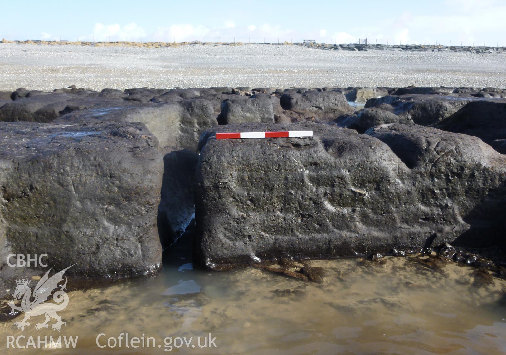 Marks of peat cutting shovel in section (photoscale)