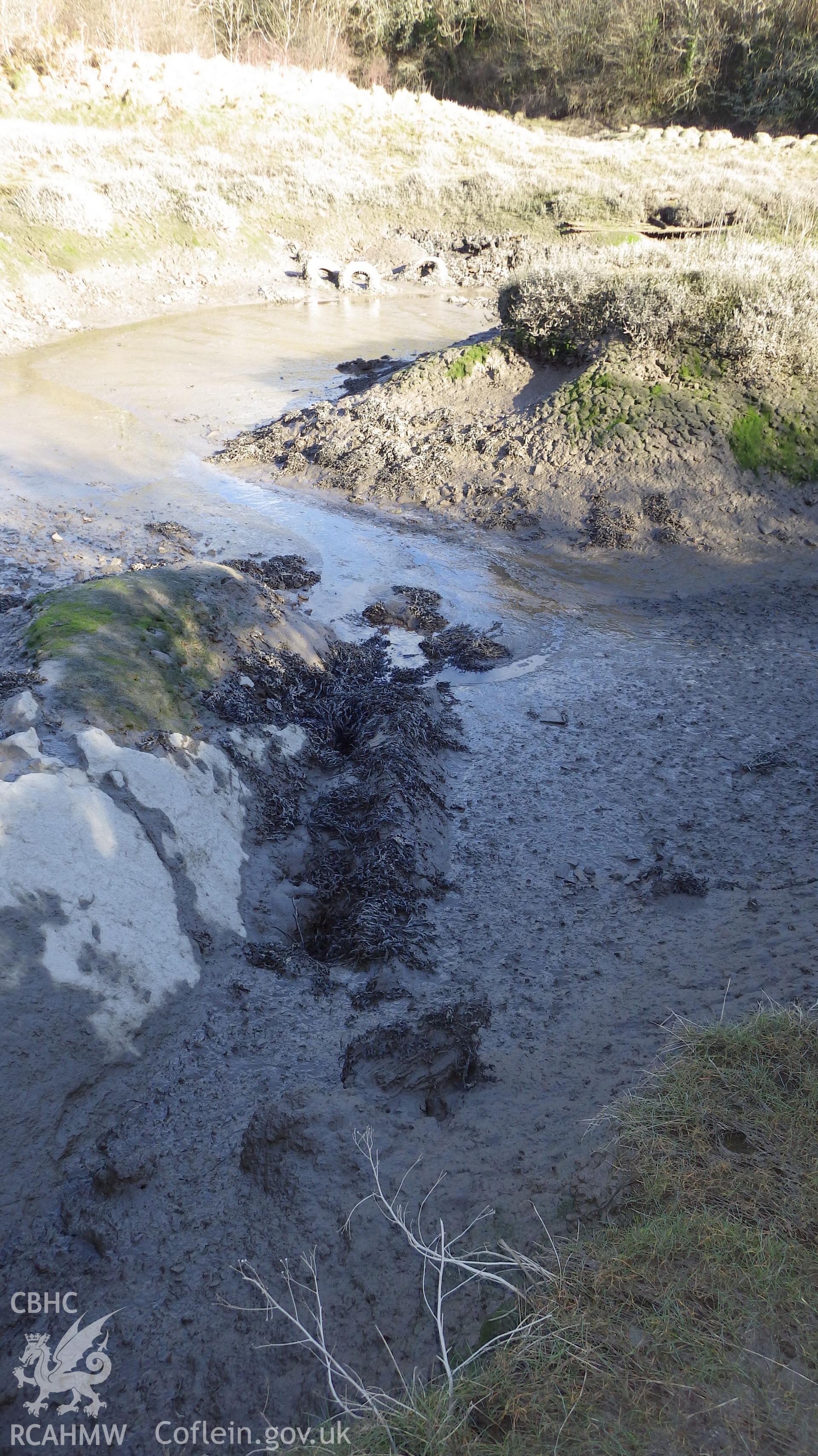 Side on view of infilled and overgrown hulk of the CHARLIE PEARCE (viewed from southwest)