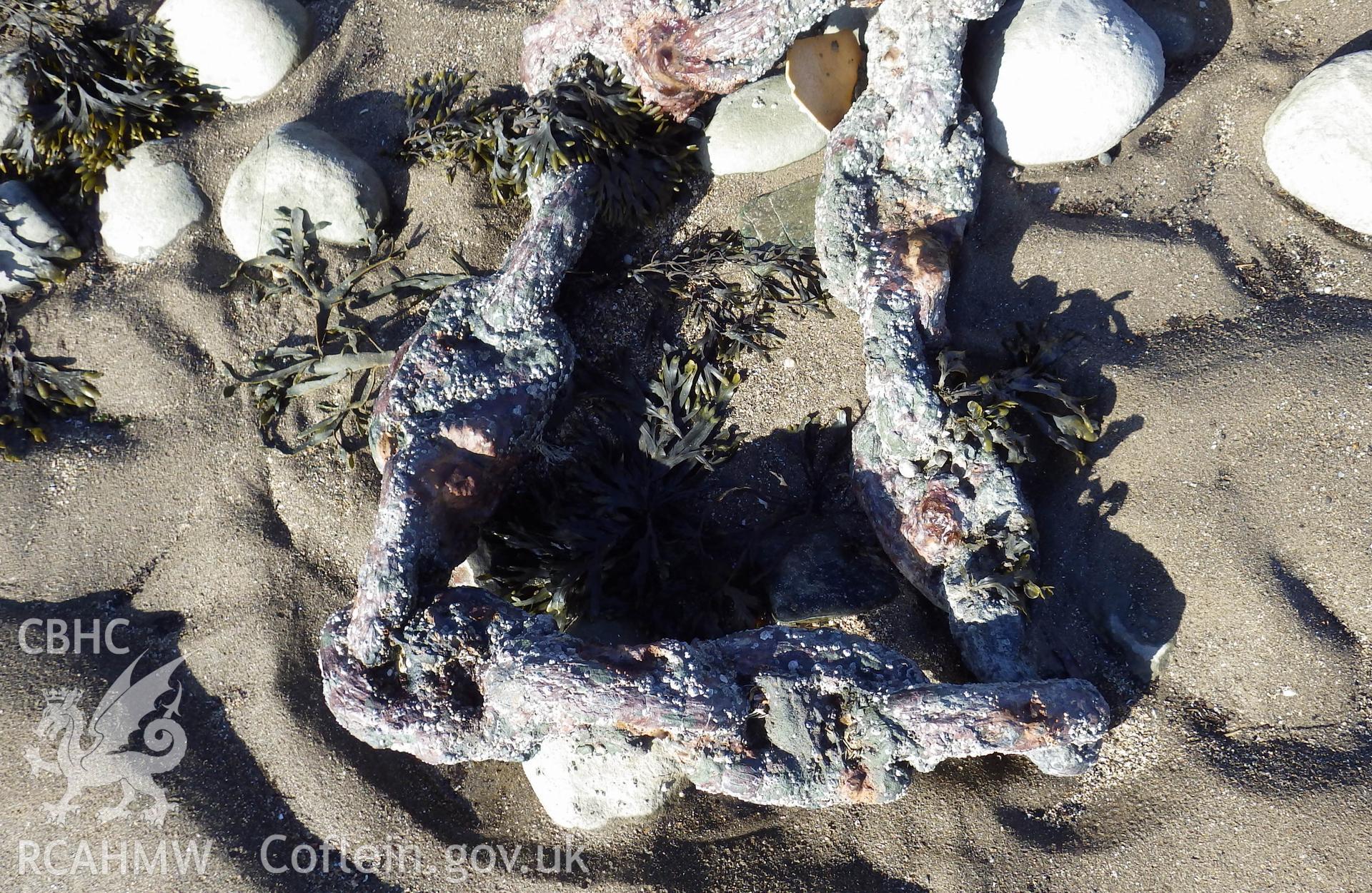 Detail of linkages of section of anchor cable lying to the southeast of the wreck