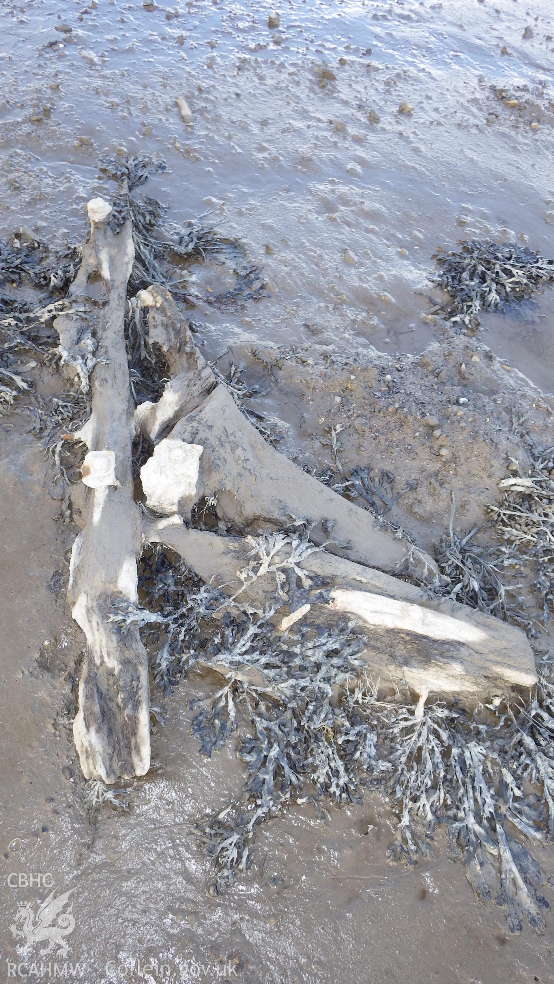 Disassociated timber to northeast of stern