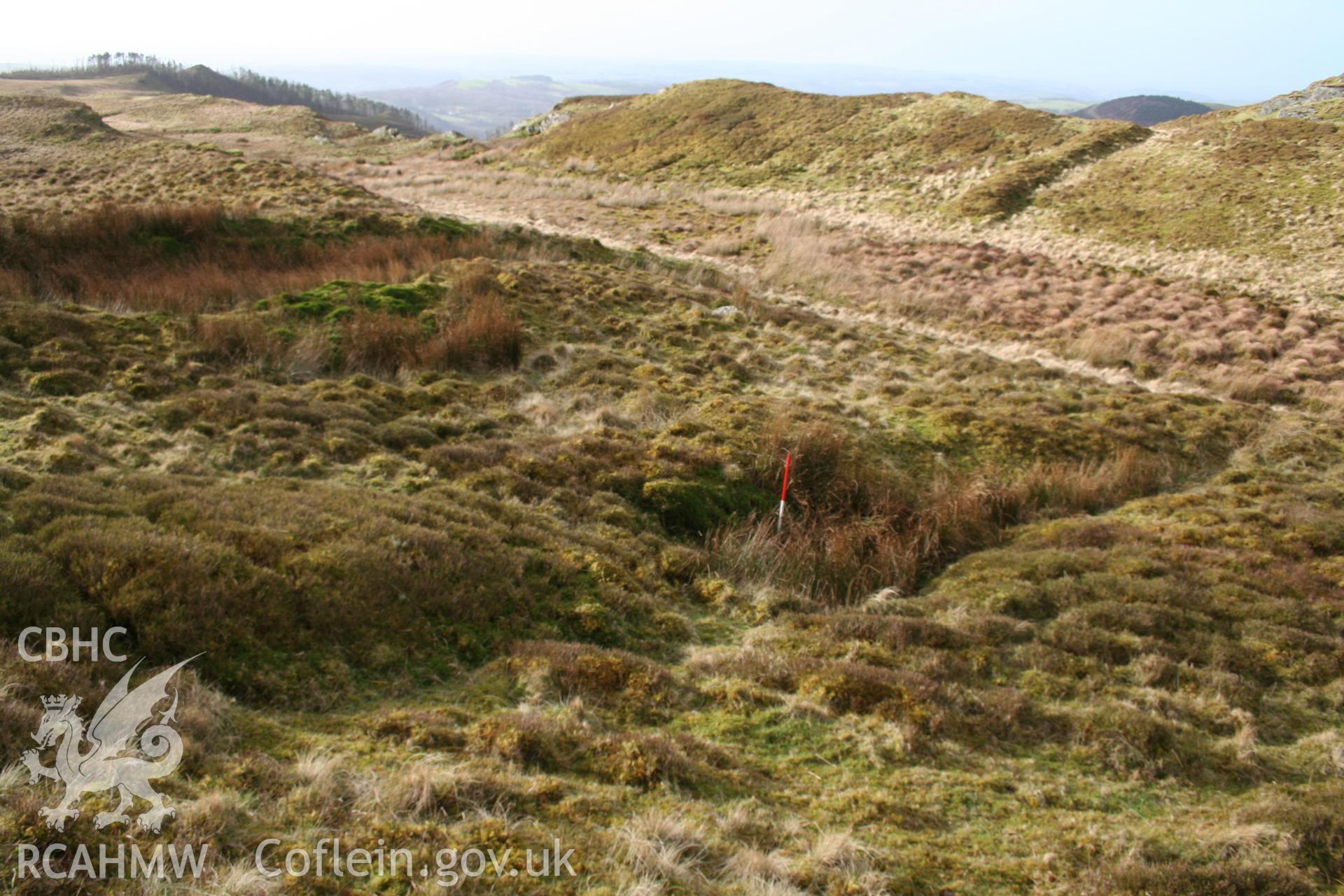 View from the north-east, enclosure bank at top right of picture; 1m scale.