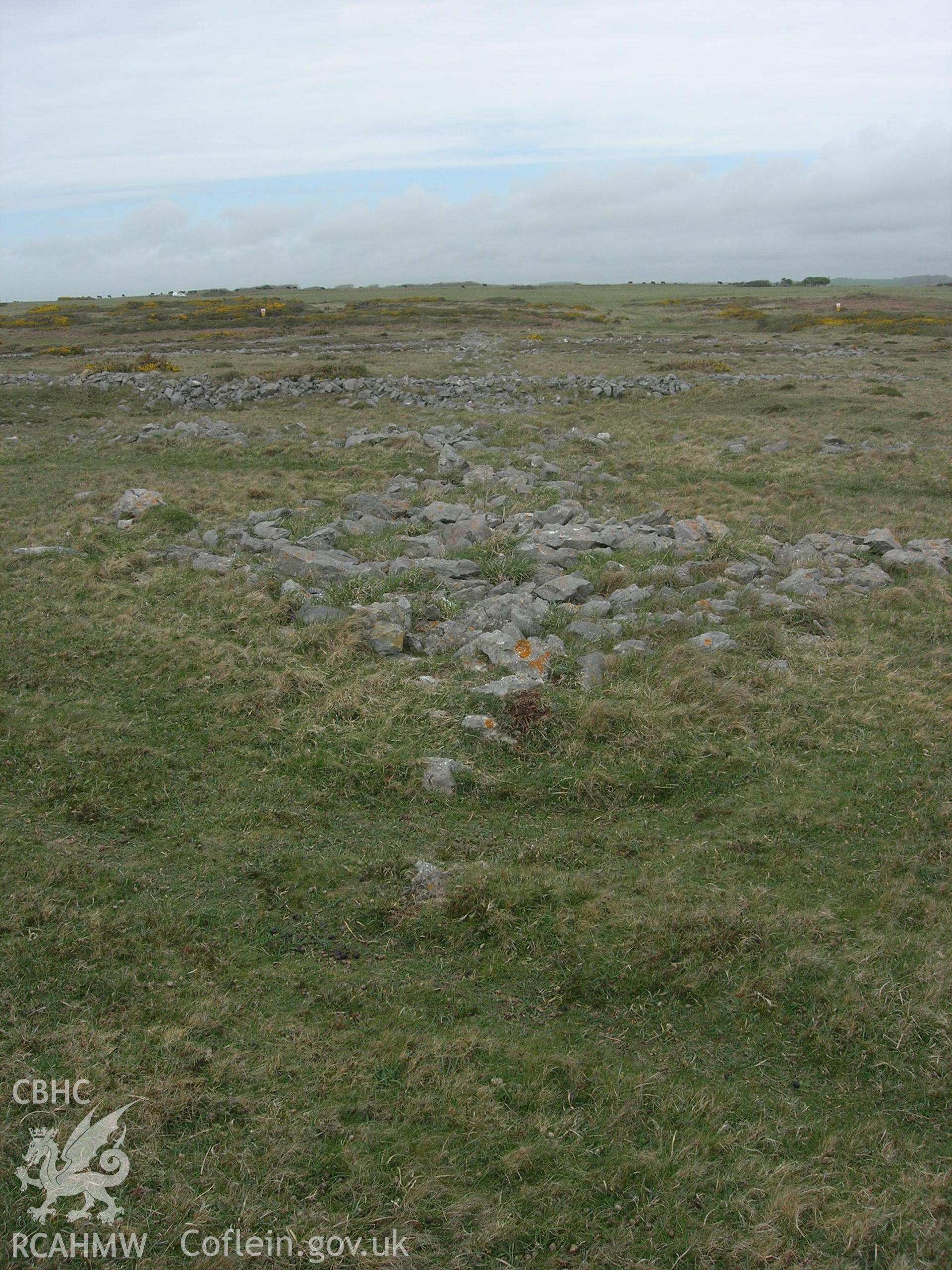 looking north-northeastwards along the orientation of the arrrow (point in foreground)