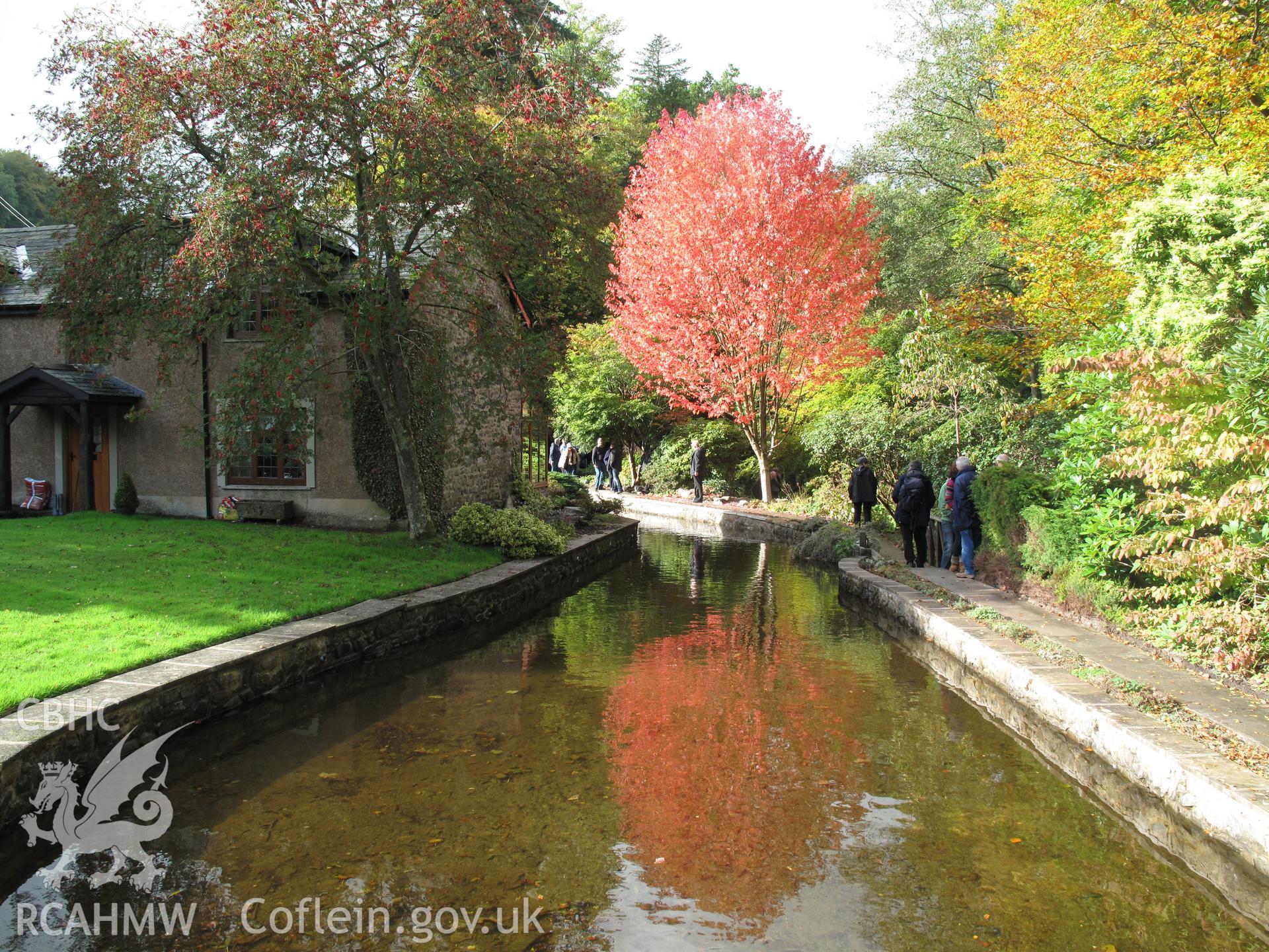 Millpond, Felindre Mill, Llanidloes.